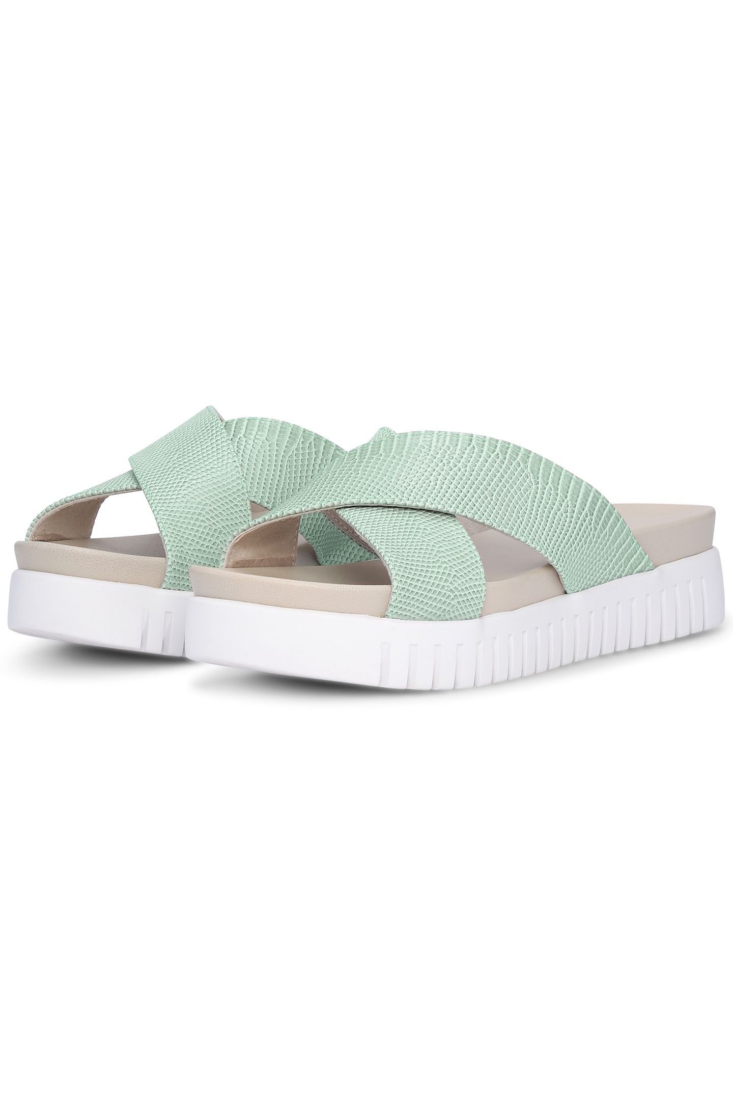 TULIP1465RE PASTEL GREEN 2