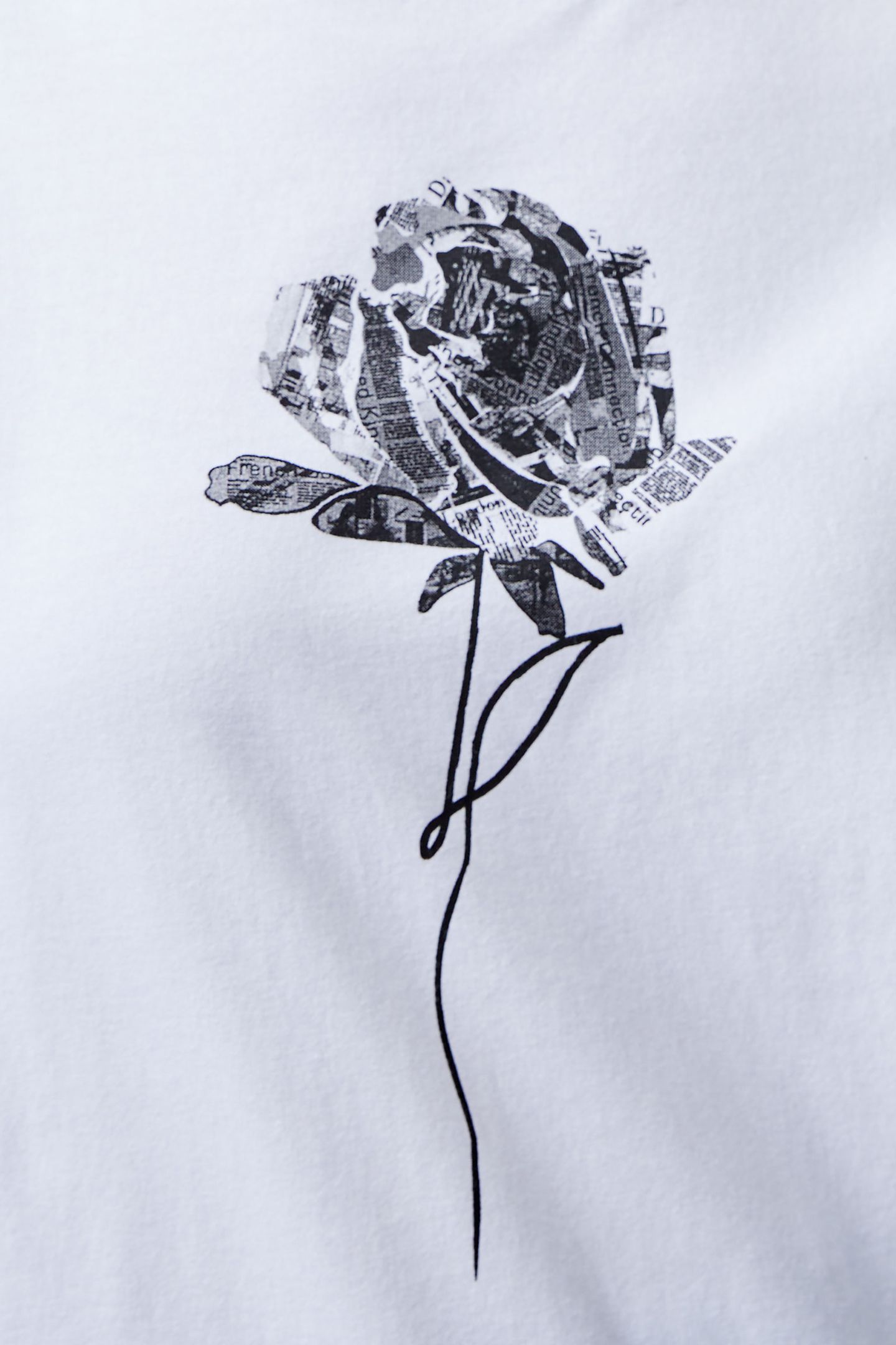 1OSE LOGO PEACHED GRAPHIC TEE LINEN WHITE 4