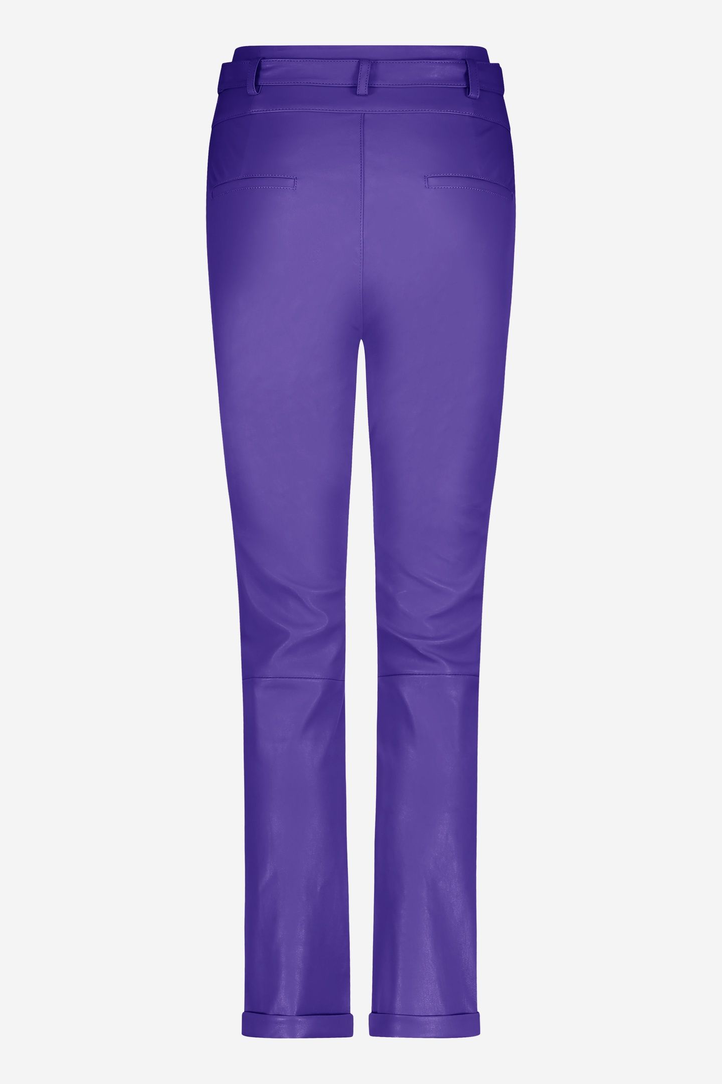 PAXTON VIOLET 4