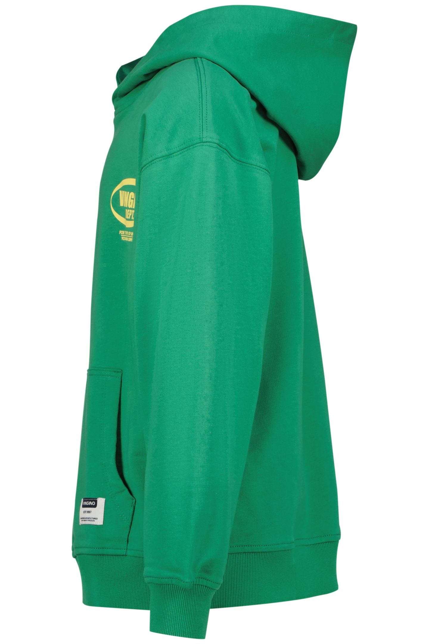 BASIC-HOODY CACTUS GREEN 2