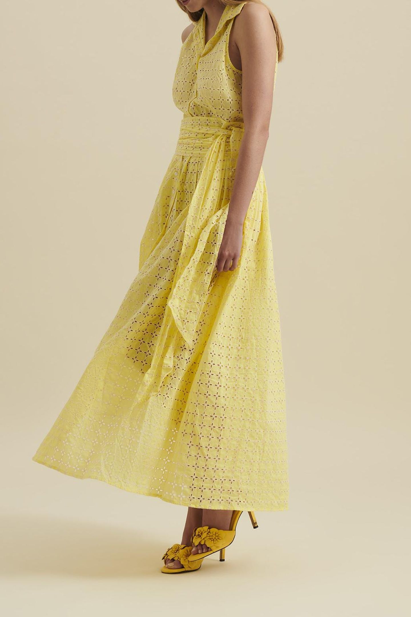 GUETHARY MIMOSA 3