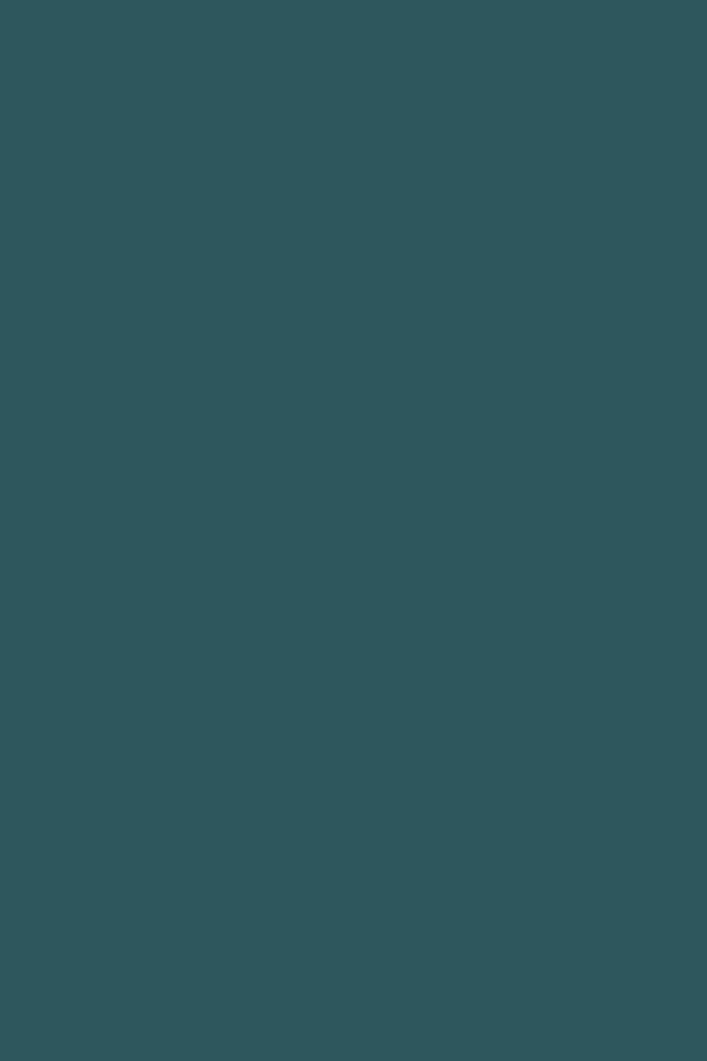 FRUITA TOP BLUE GREEN 6