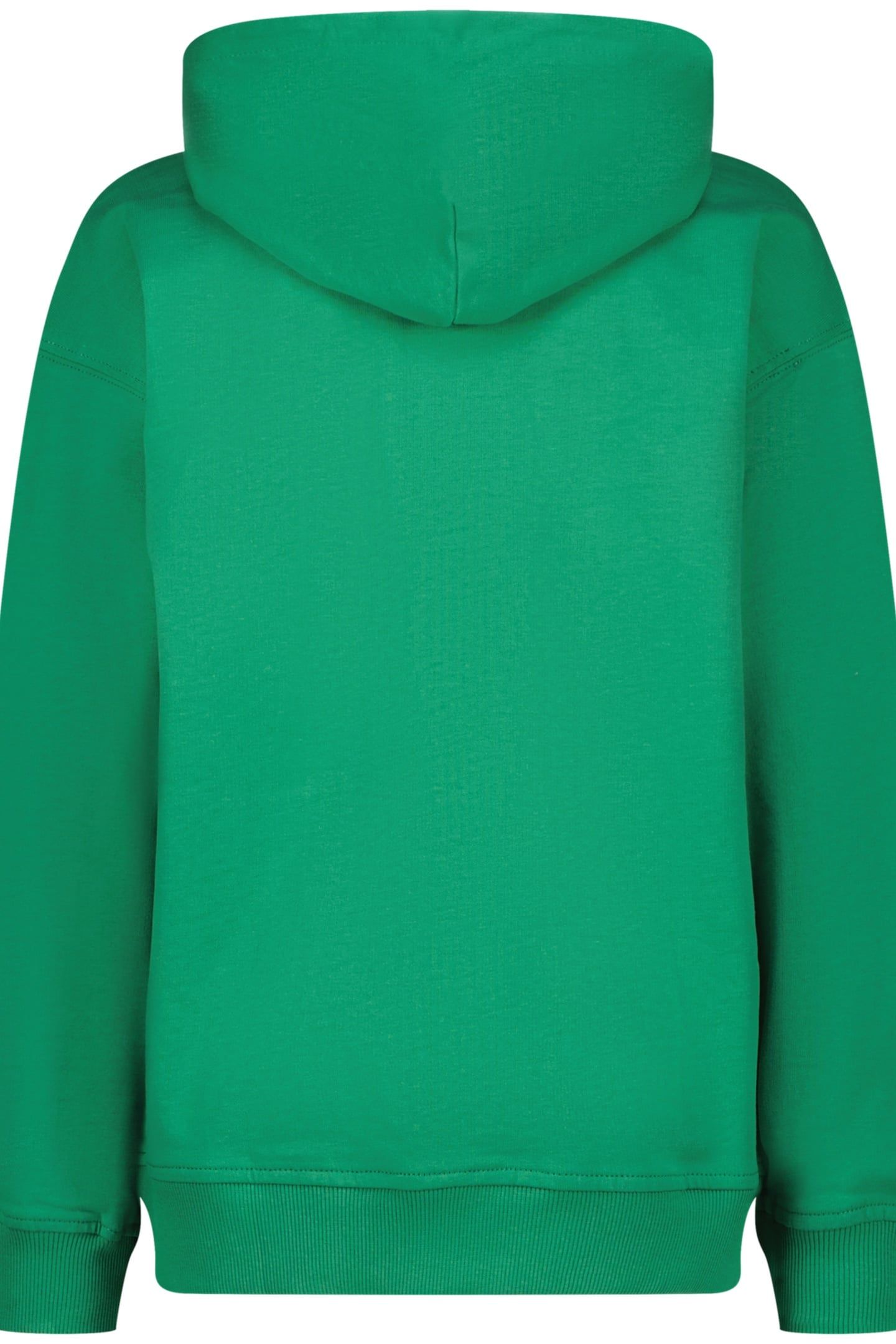 BASIC-HOODY CACTUS GREEN 3