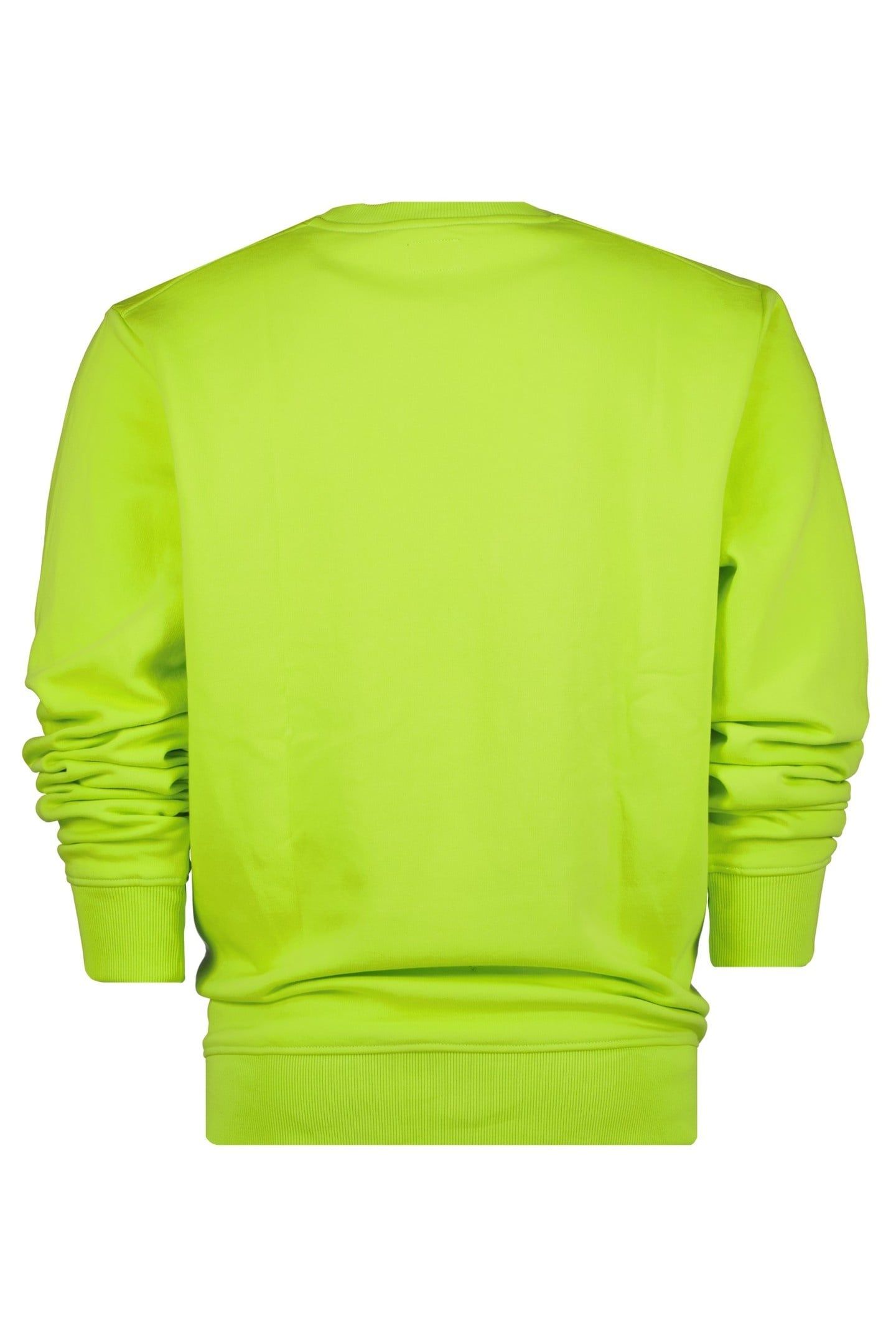 MONTREAL CREWNECK LIZARD GREEN 4