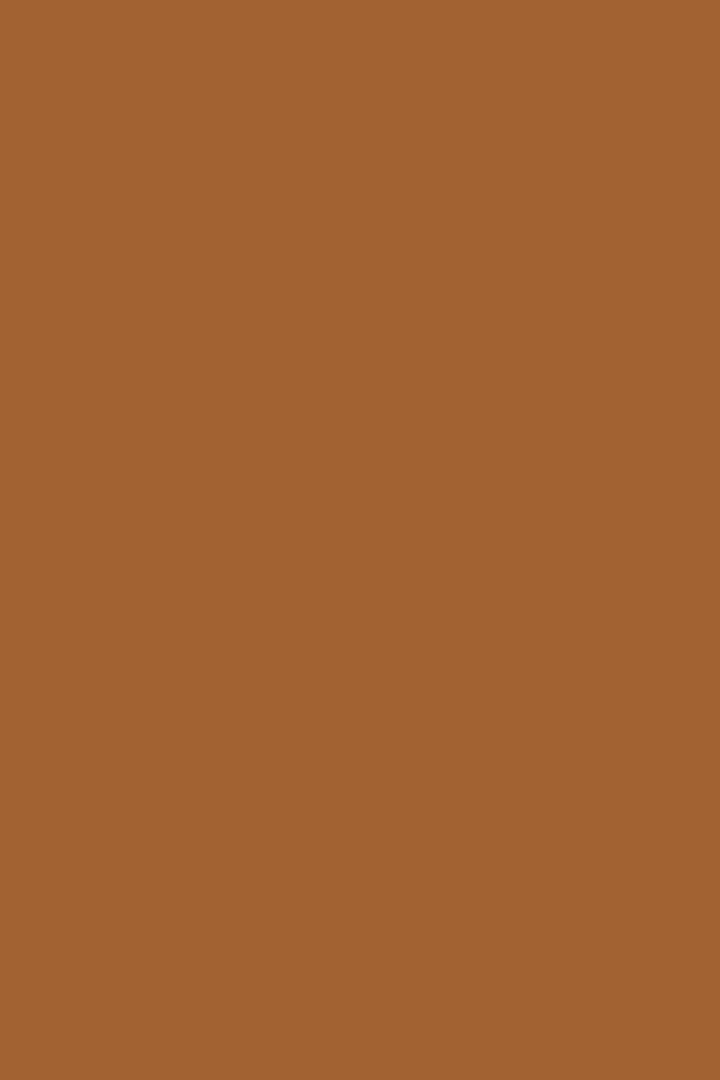 ELYANE DRESS BLACK/CAMEL 6