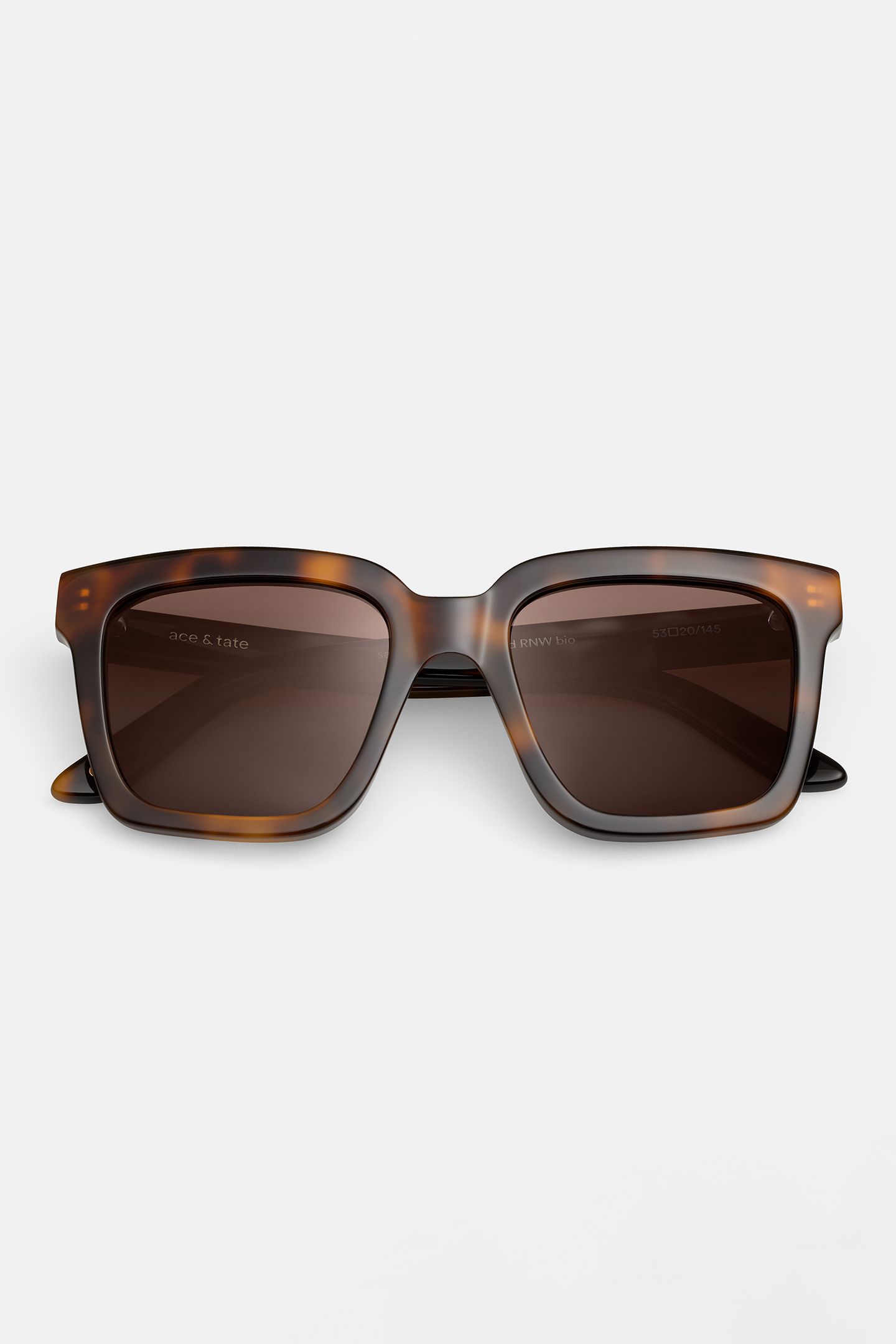 SAMMY-OXFORD-SUN 2