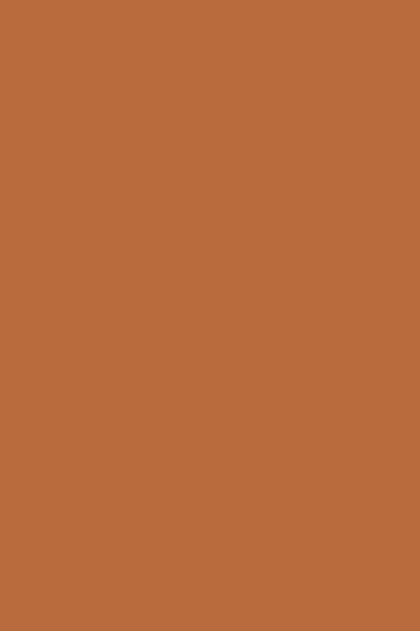 LIANDRO OUTERWEAR LIGHT BROWN 6