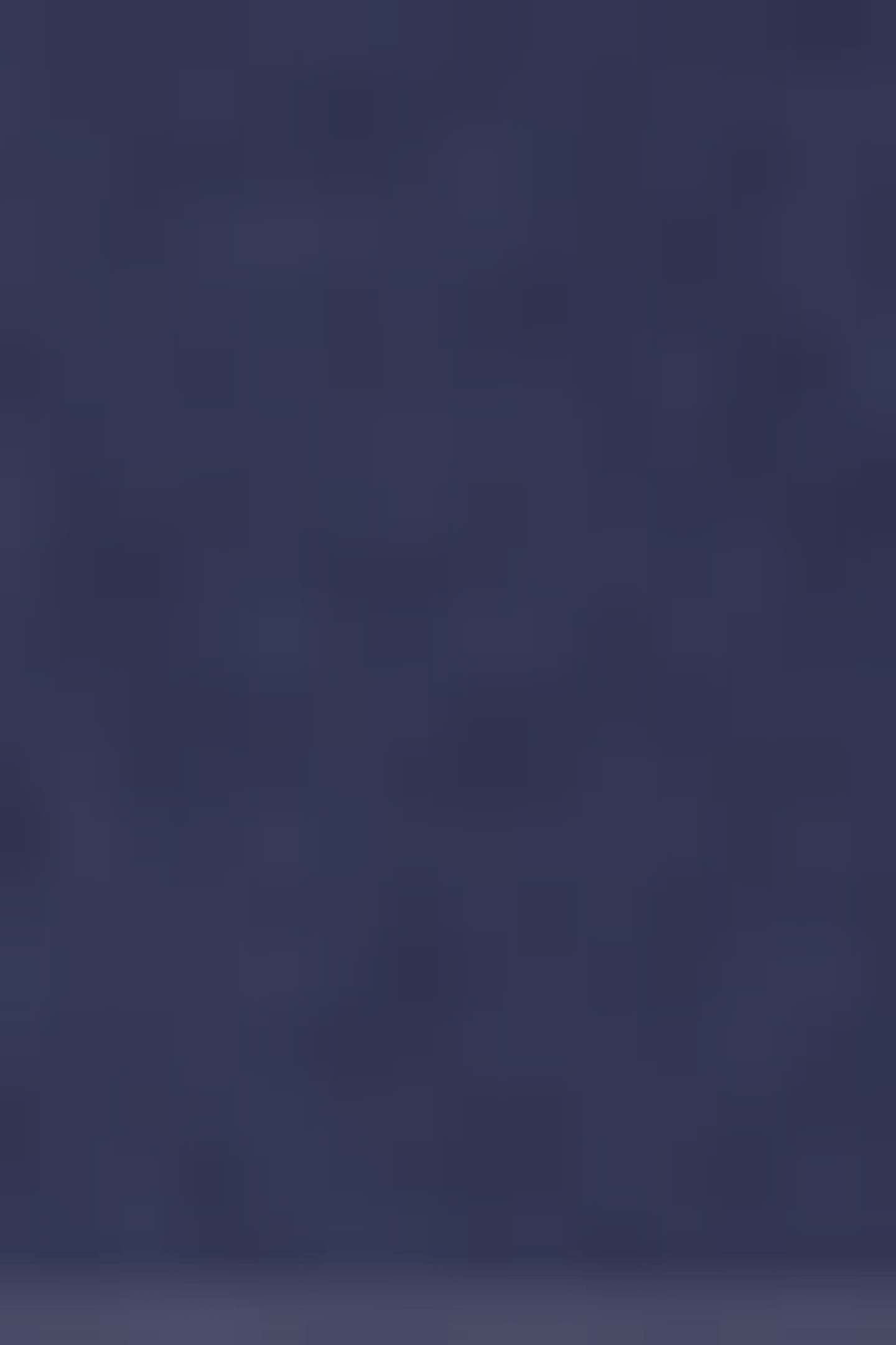 EVERT DARK BLUE 5