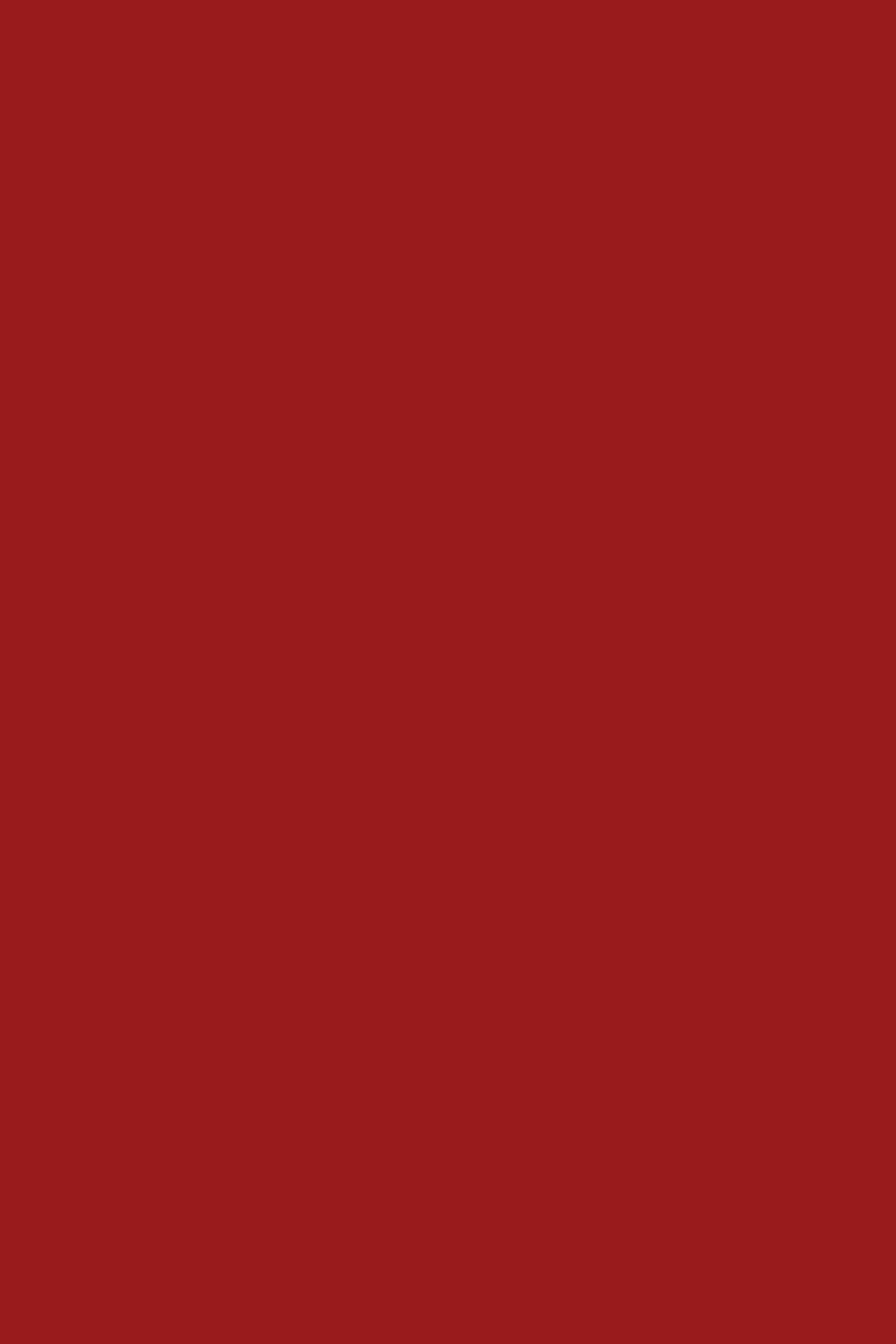 ILARIO OVERSHIRT MIXED RED 6