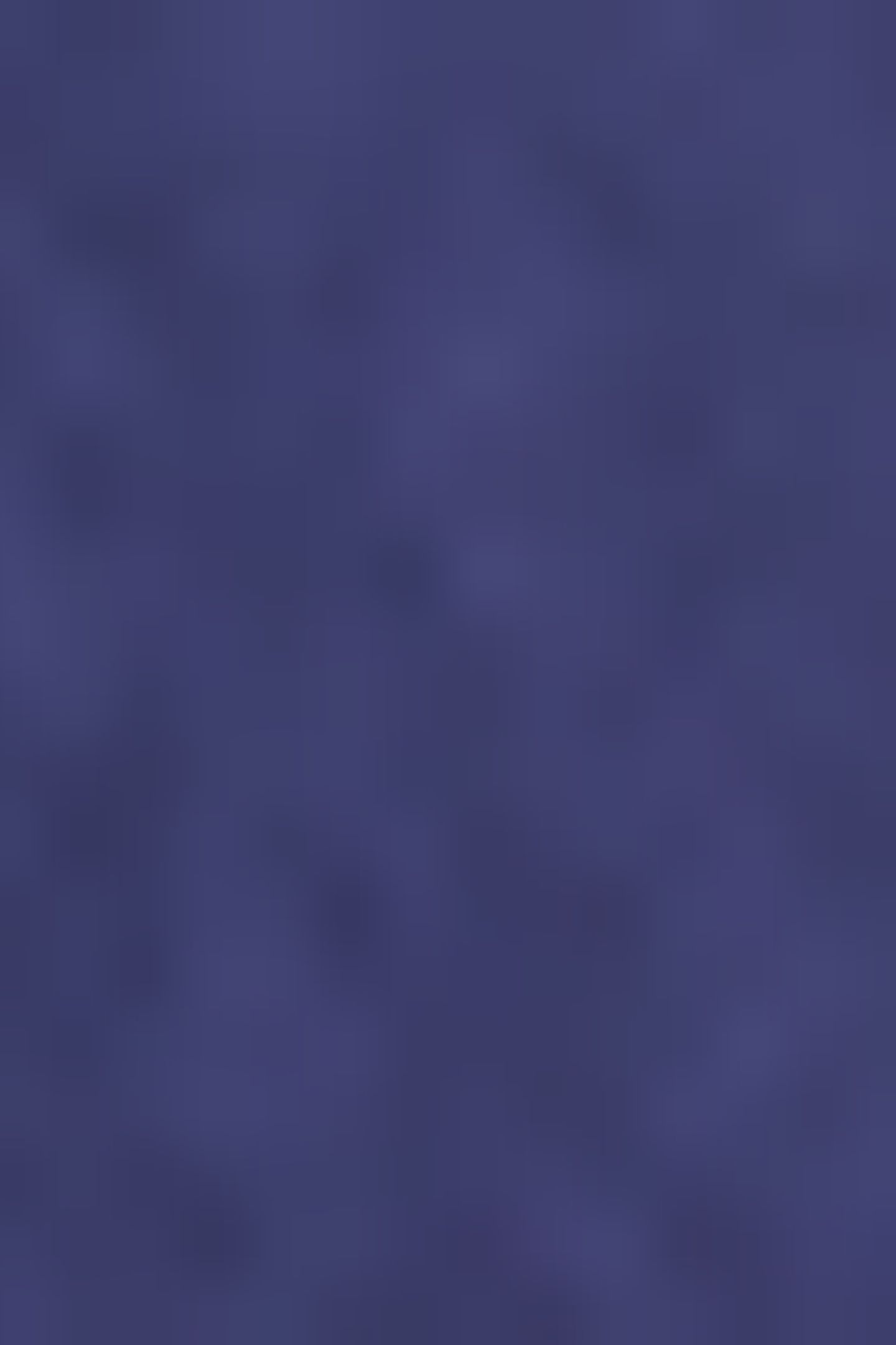 NEO DARK BLUE 5