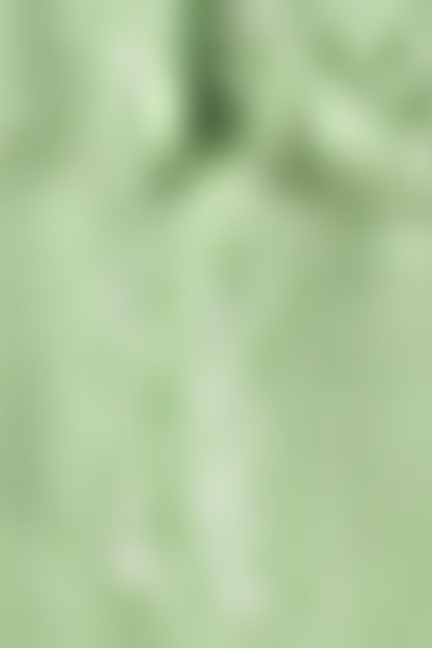 DAISY WHITE/GREEN 5