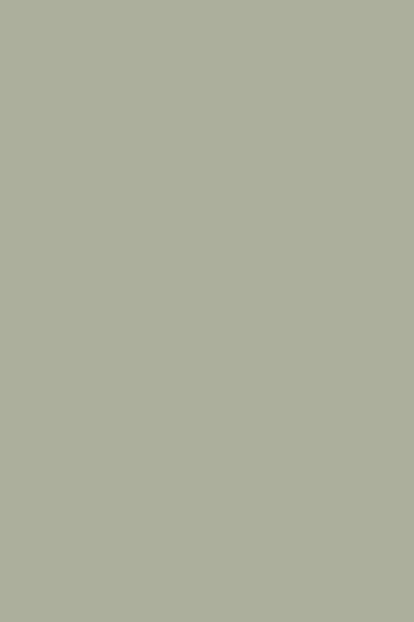 ALEX SNEAKERS SAGE GREEN 5