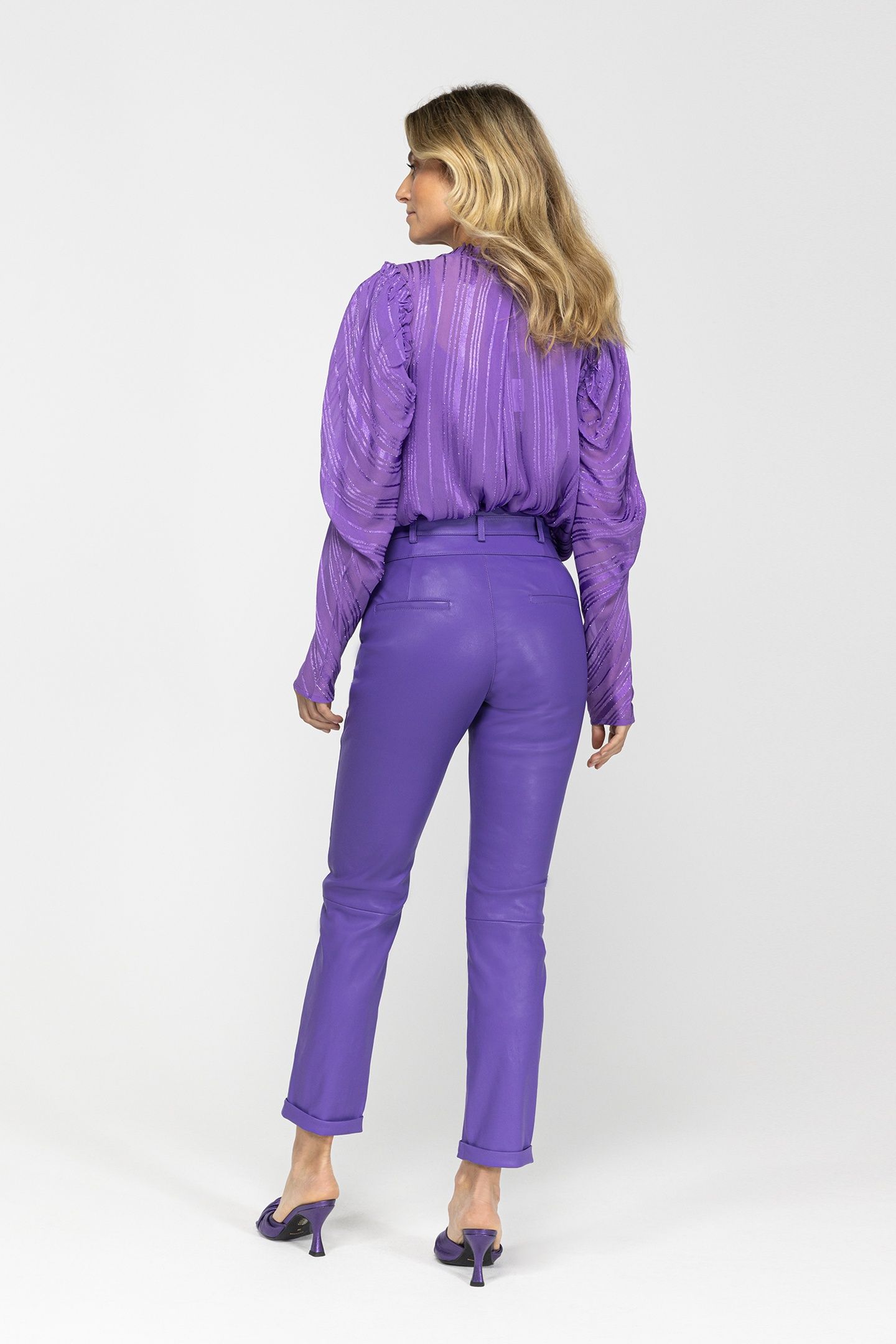 PAXTON VIOLET 2