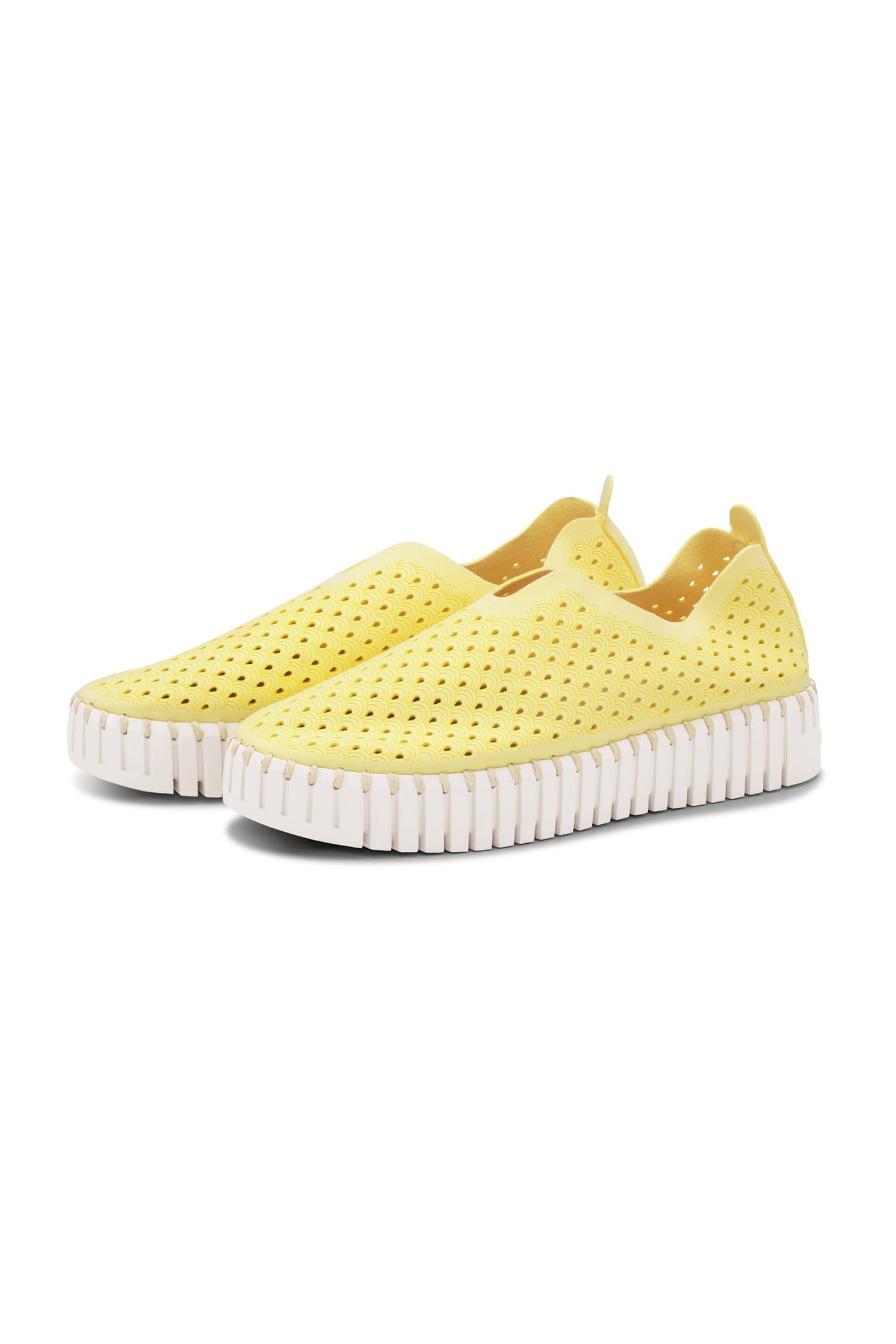 FLATS TULIP3373 LEMON DROP 5