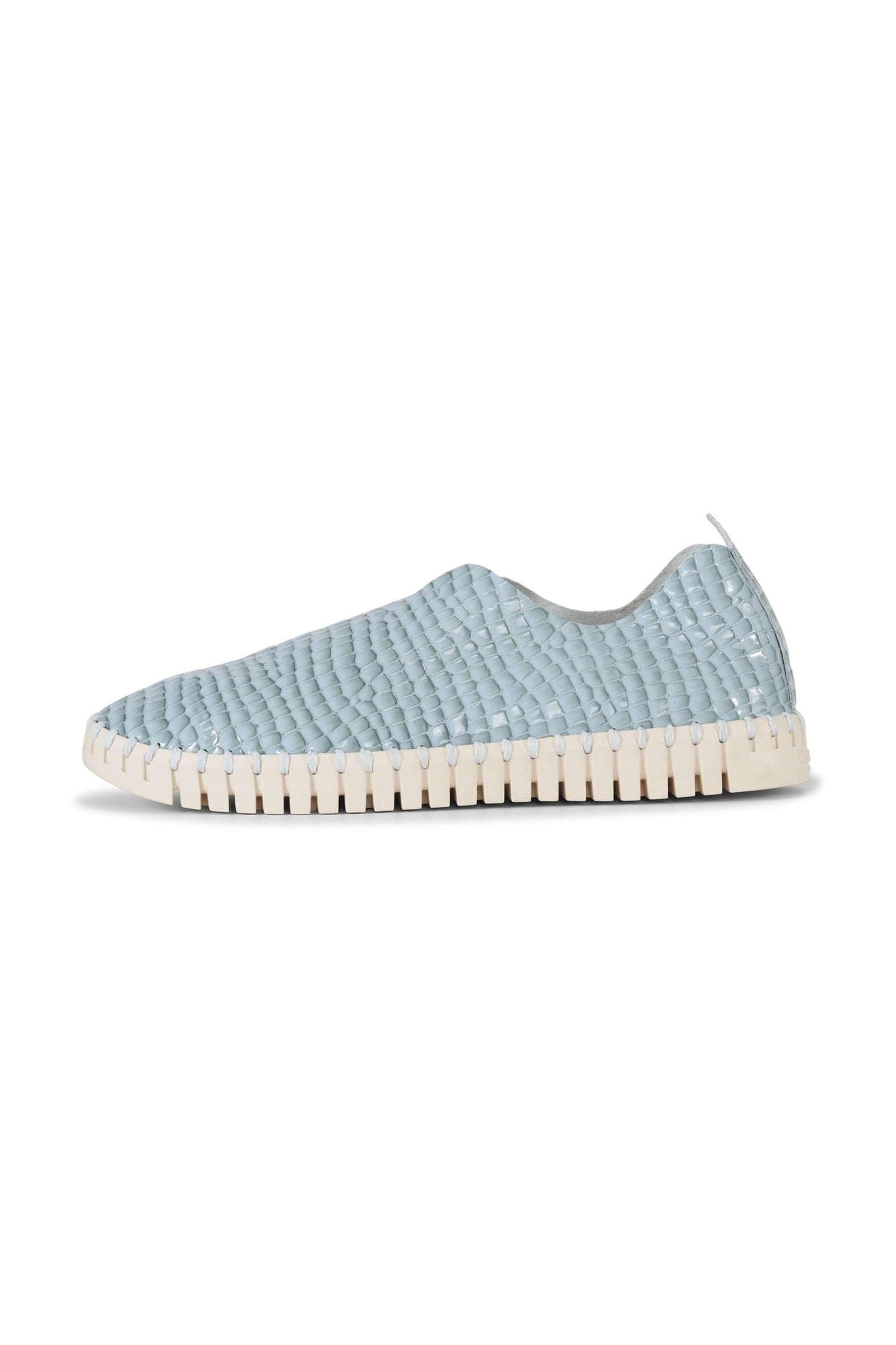 FLATS TULIP3031 SAPPHIRE 1