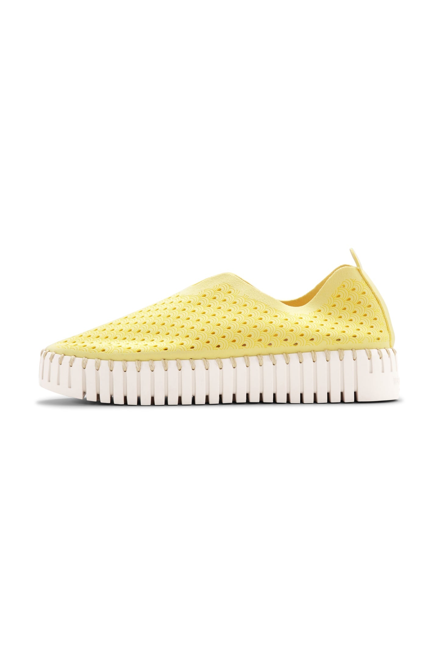 FLATS TULIP3373 LEMON DROP 2