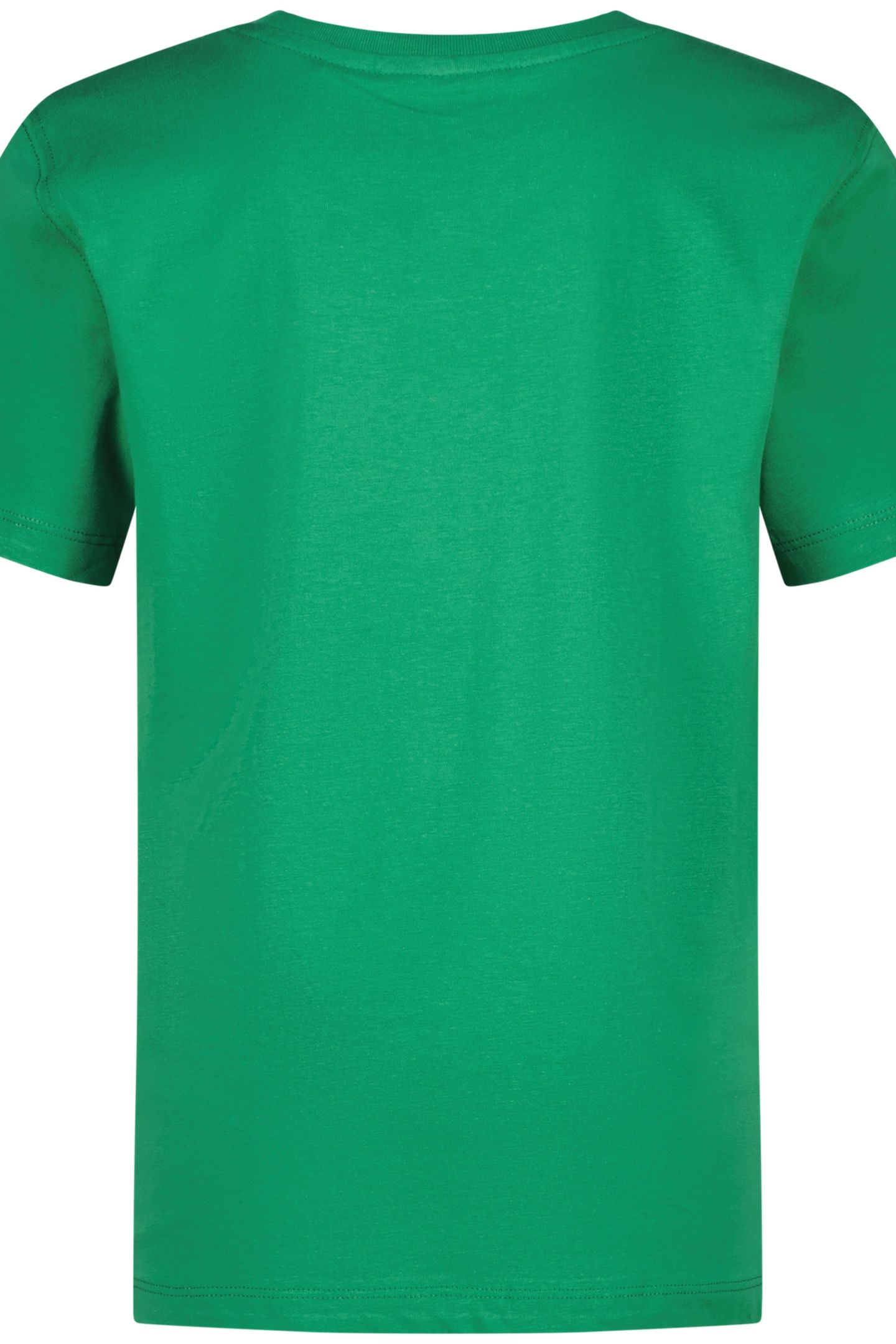BASIC-LOGO CACTUS GREEN 3
