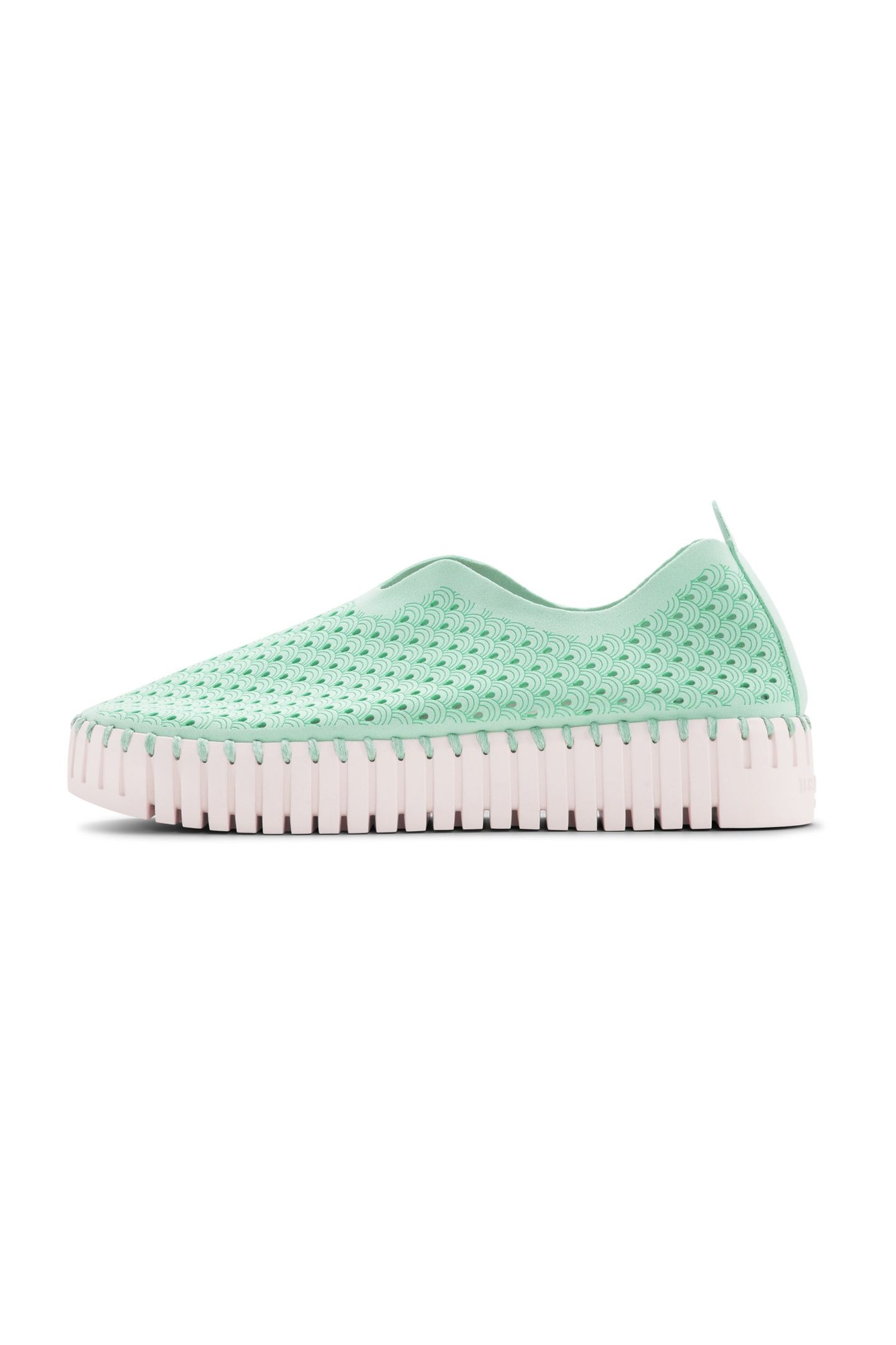 FLATS TULIP3373 YUCCA 4