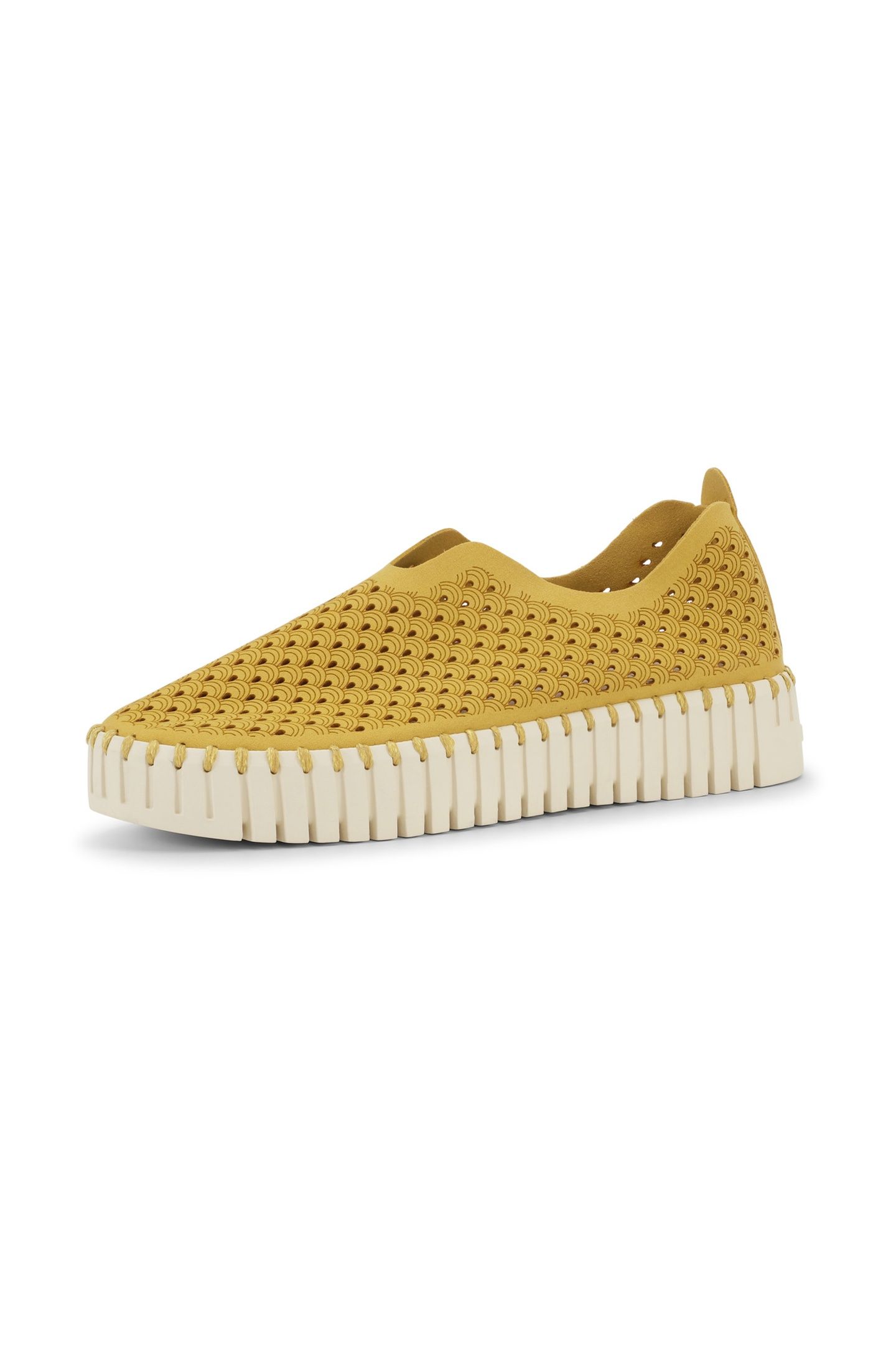 FLATS TULIP3373 GOLDEN ROD 2