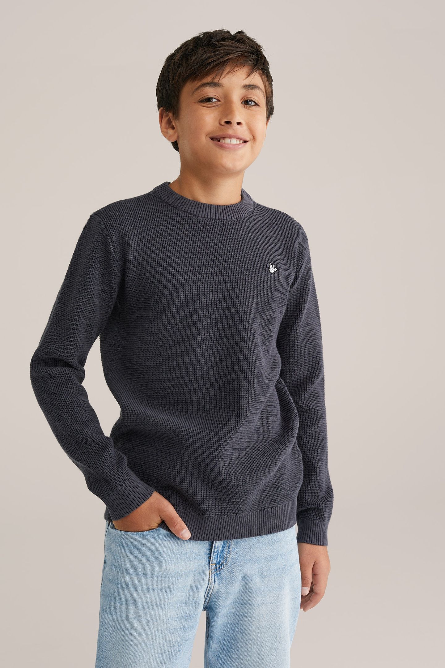 PULLOVER GREY 1