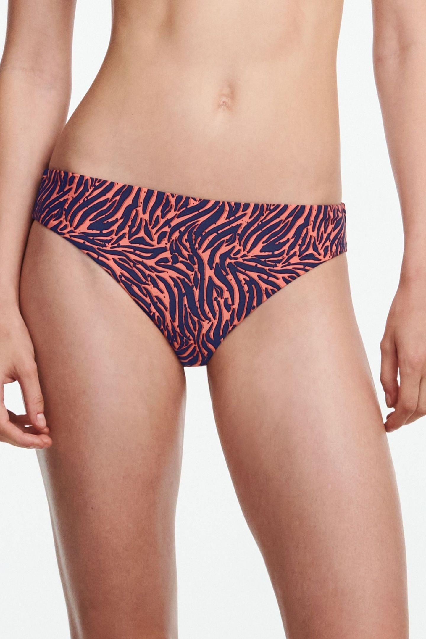 SW BO. BRIEF STD STD W. ZEBRA 1