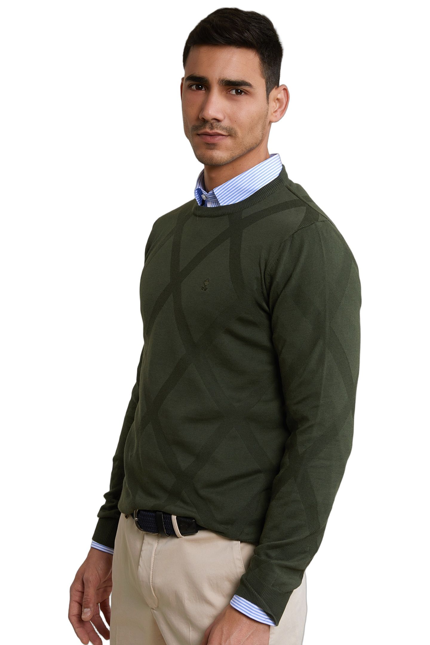 CUSTOM FIT FANCY PIMA COTTON SWEATER FOREST 2