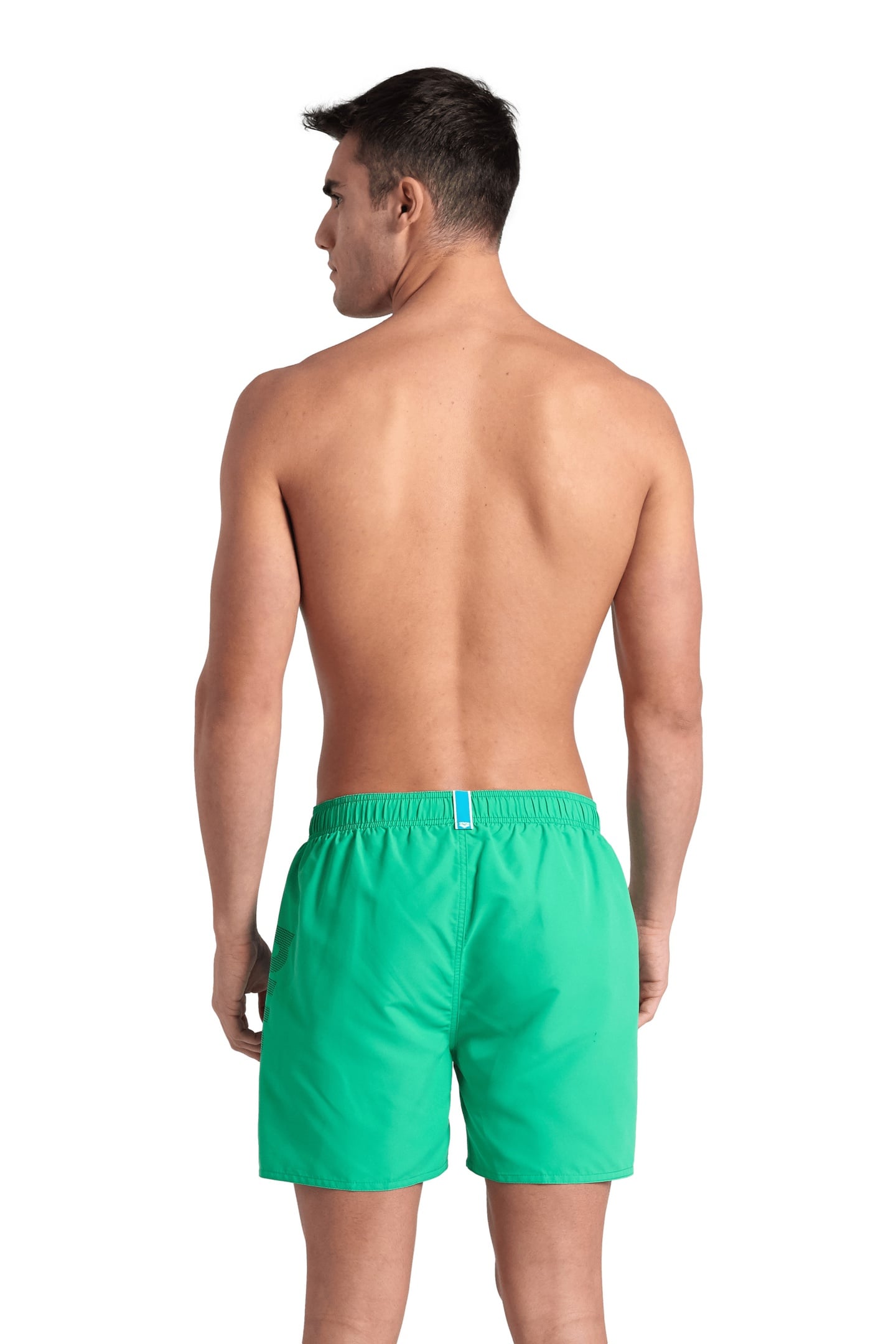 FUNDAMENTALS LOGO BOXER R GREEN QUARTZ-PURPLE BLUE 3