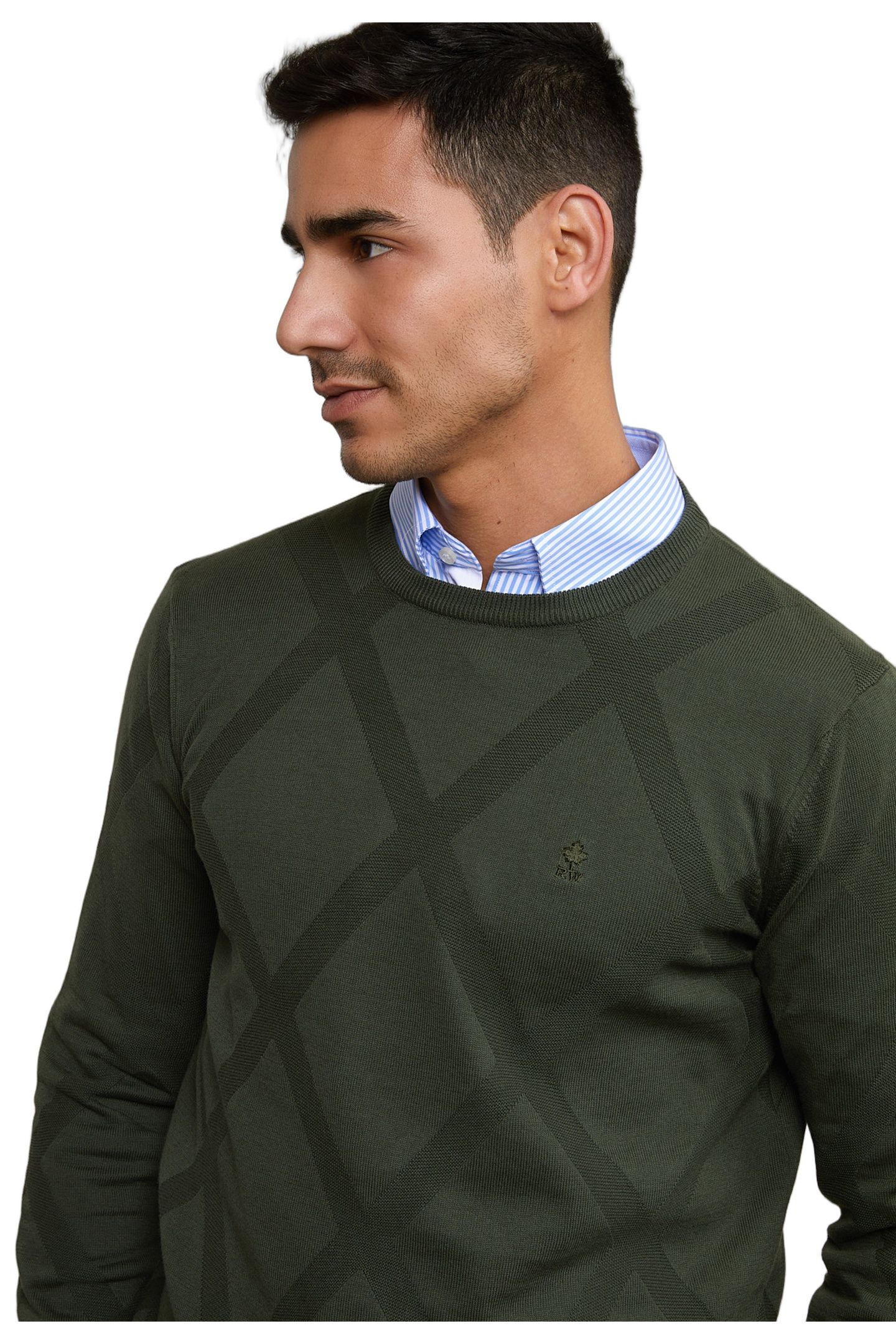 CUSTOM FIT FANCY PIMA COTTON SWEATER FOREST 4