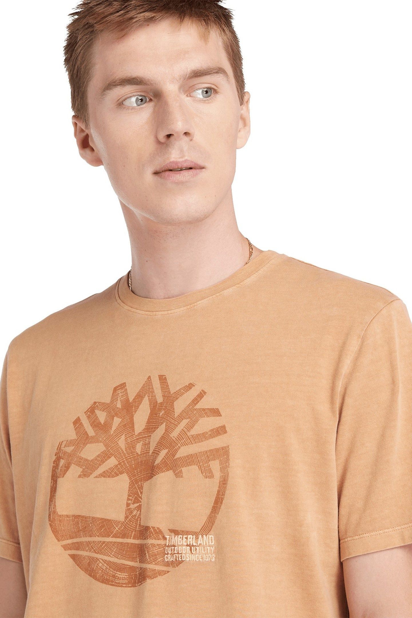 GARMENT DYE LOGO GRAPHIC TEE WHEAT BOOT 5