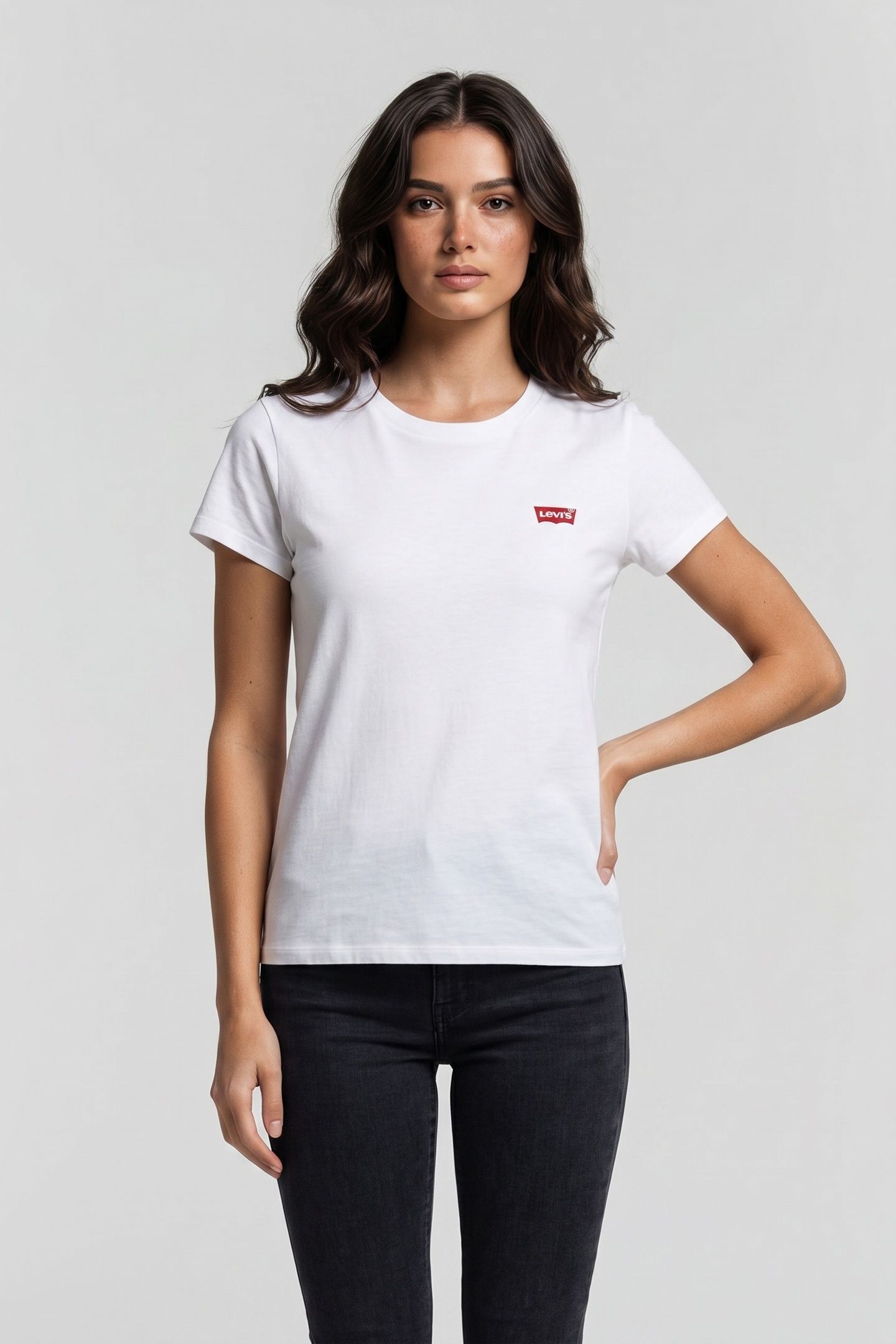 THE PERFECT TEE 1