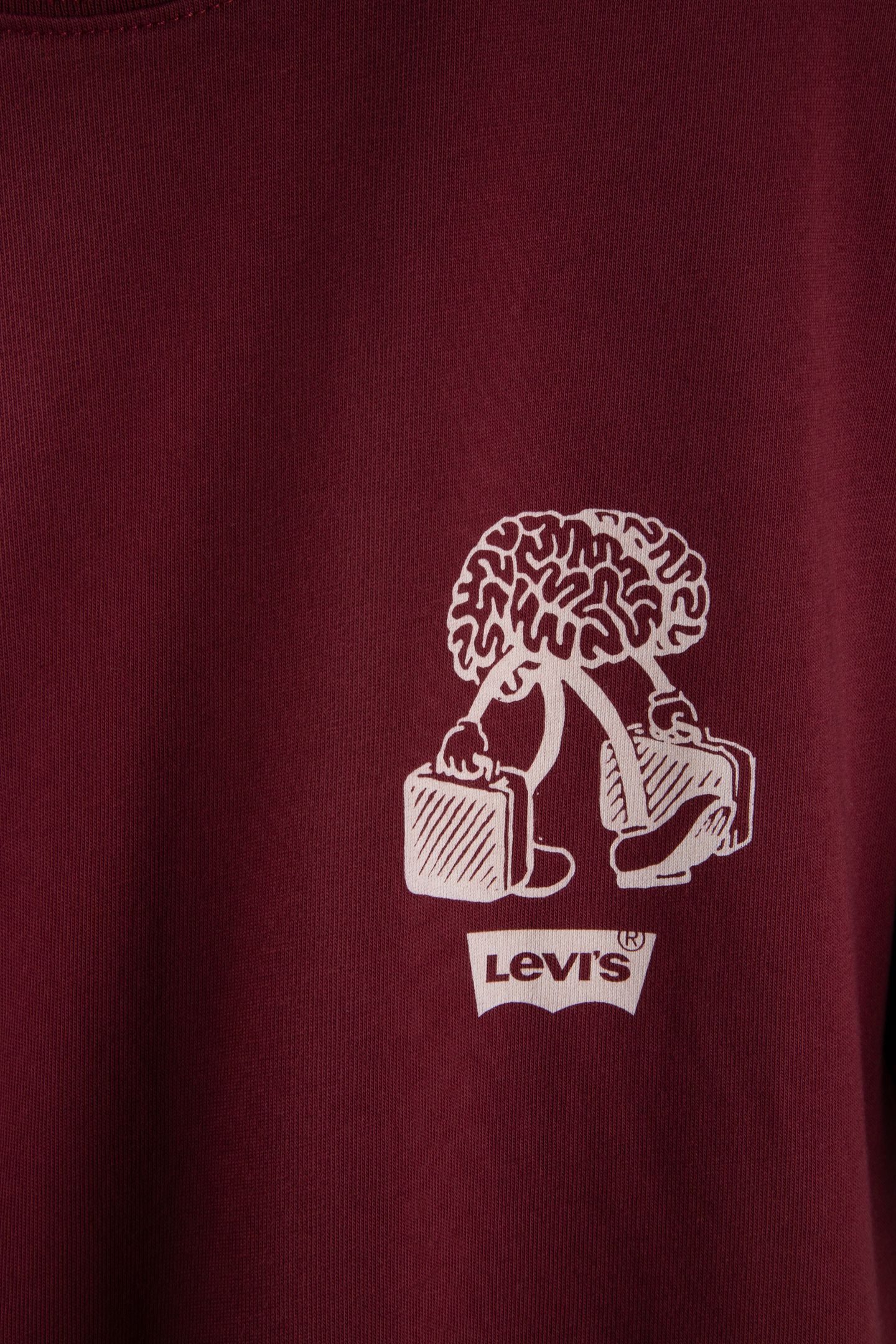 VINTAGE FIT GR TEE RELAX TAWNY PORT 4