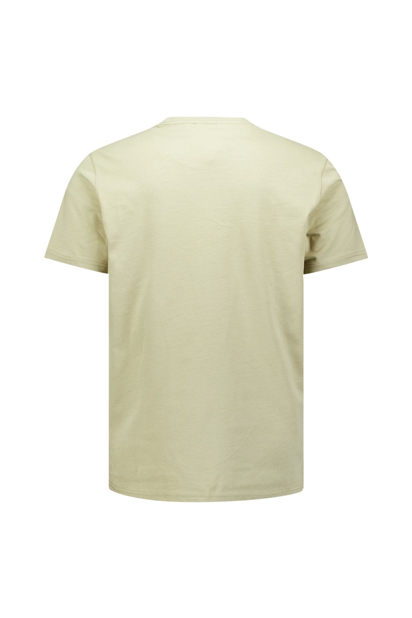 T-SHIRT CREWNECK PEACHED LIGHT MOSS 6