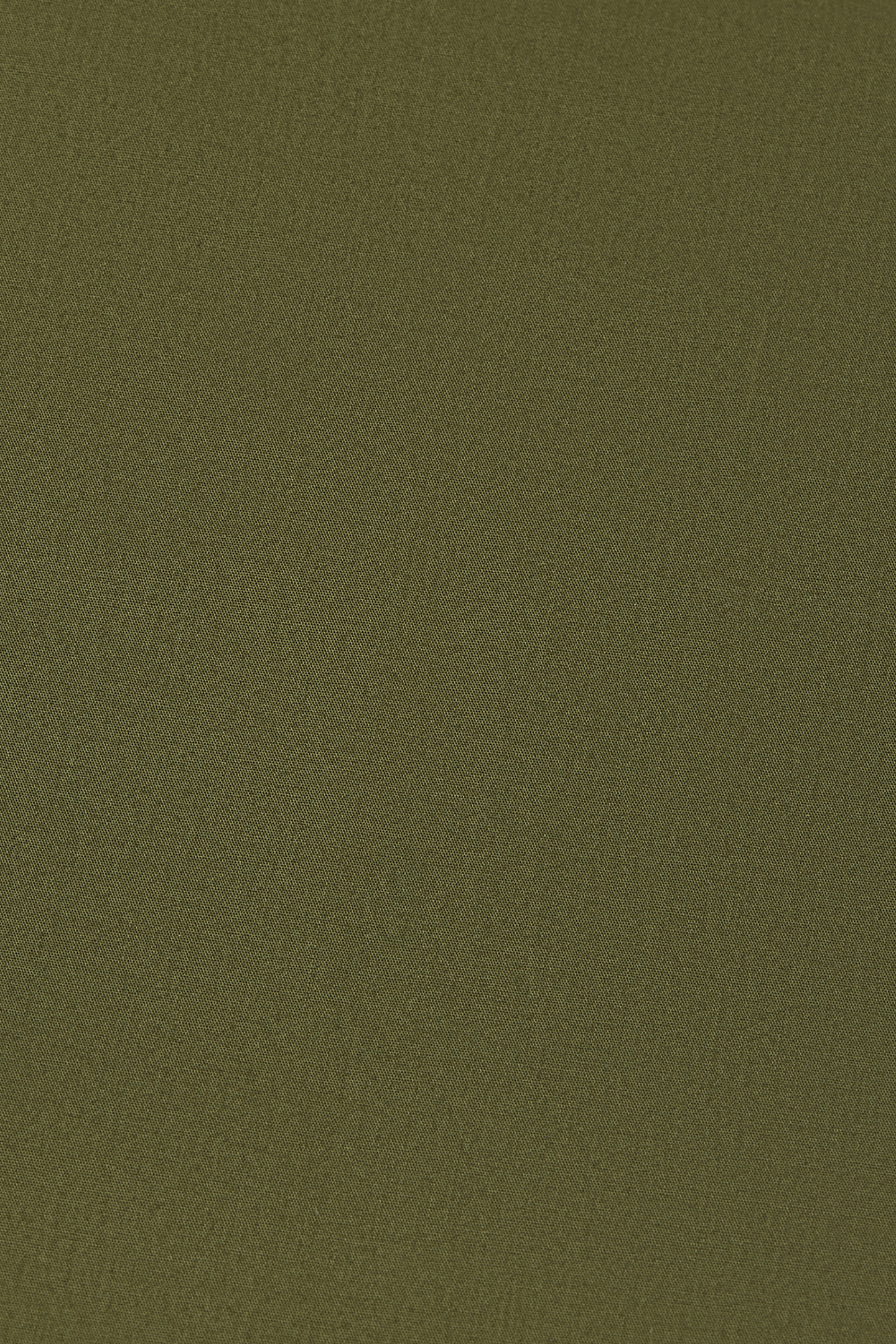 COTTON POPLIN REGULAR-FIT SHIRT OLIVE NIGHT 7