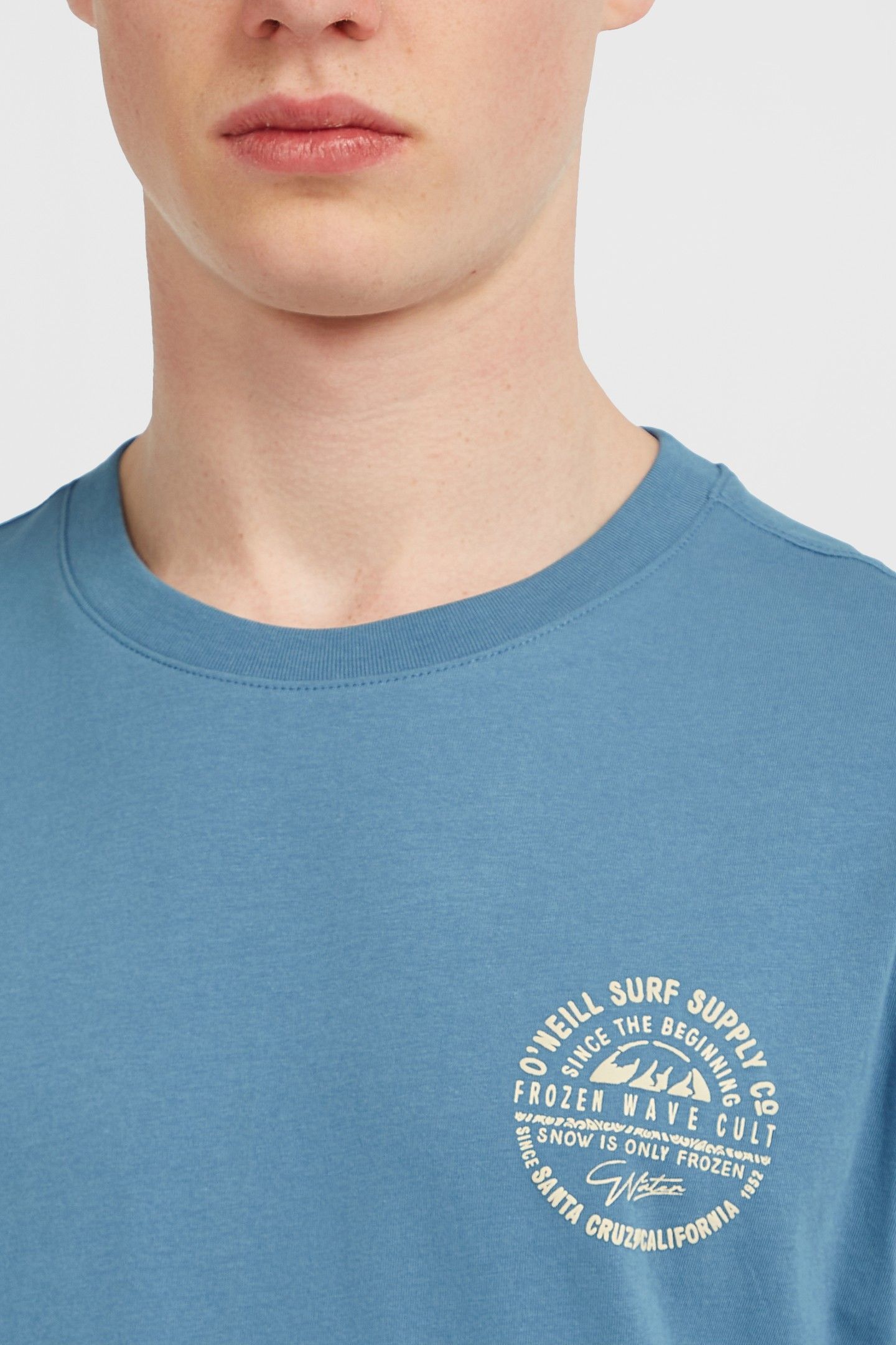 O'NEILL CHEST PRINT T-SHIRT MOZART BLUE 6
