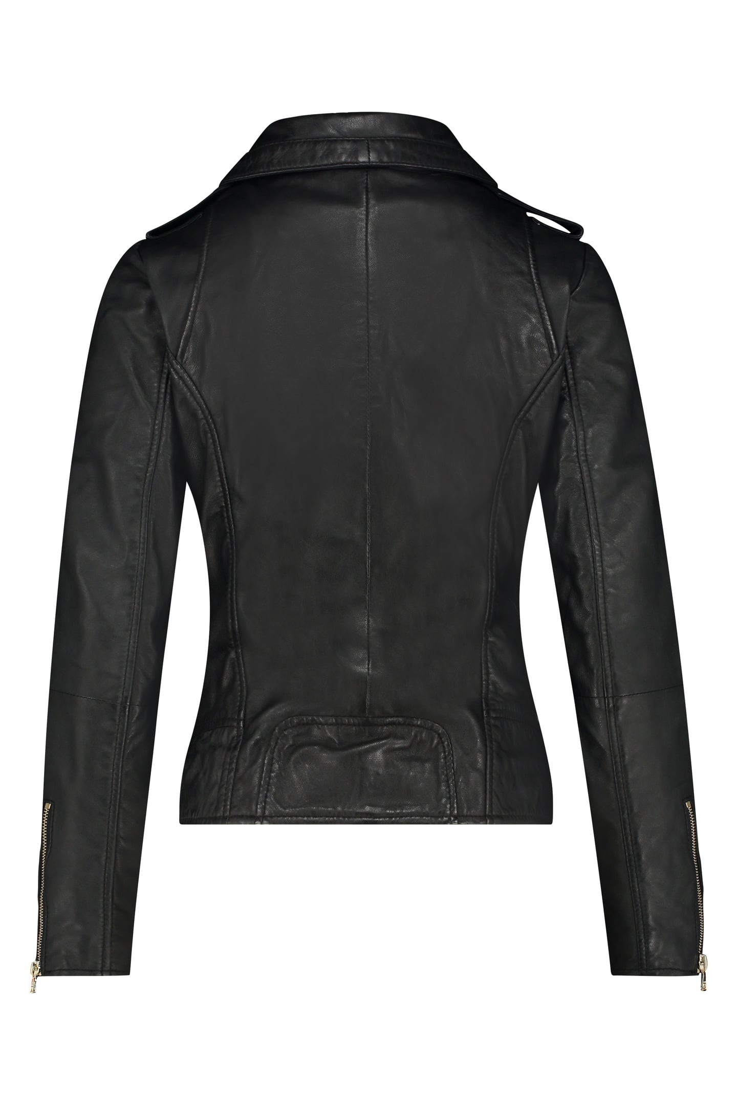 BEAR BLAZE BLACK 4