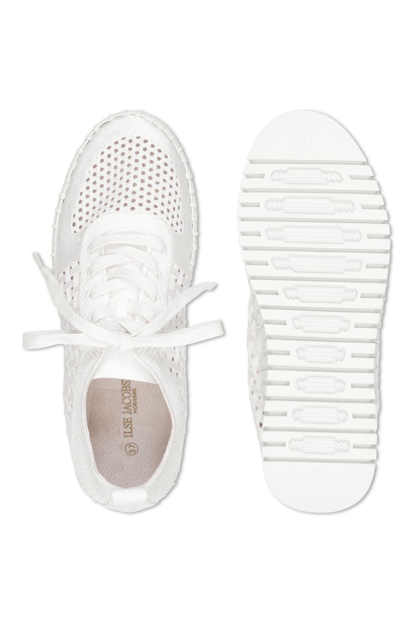 TULIP4271 WHITE WHITE 4