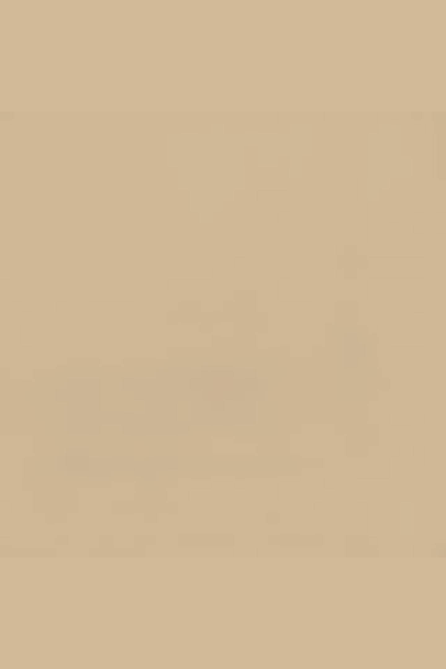 MALEK SHORT BEIGE / LIGHT BEIGE 4