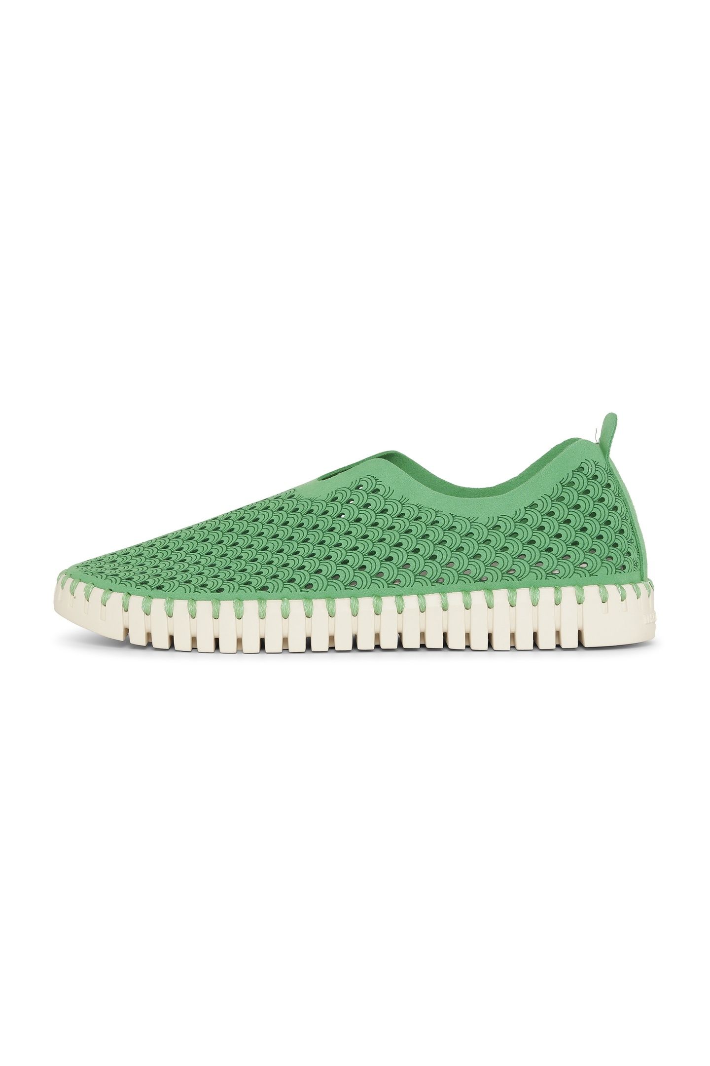TULIP3275 FERN GREEN 1