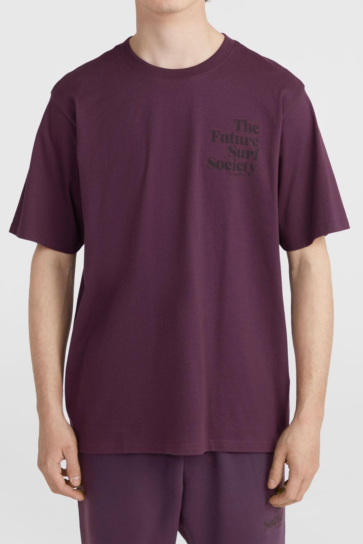 THE FUTURE SURF SOCIETY T-SHIRT AUBERGINE 1