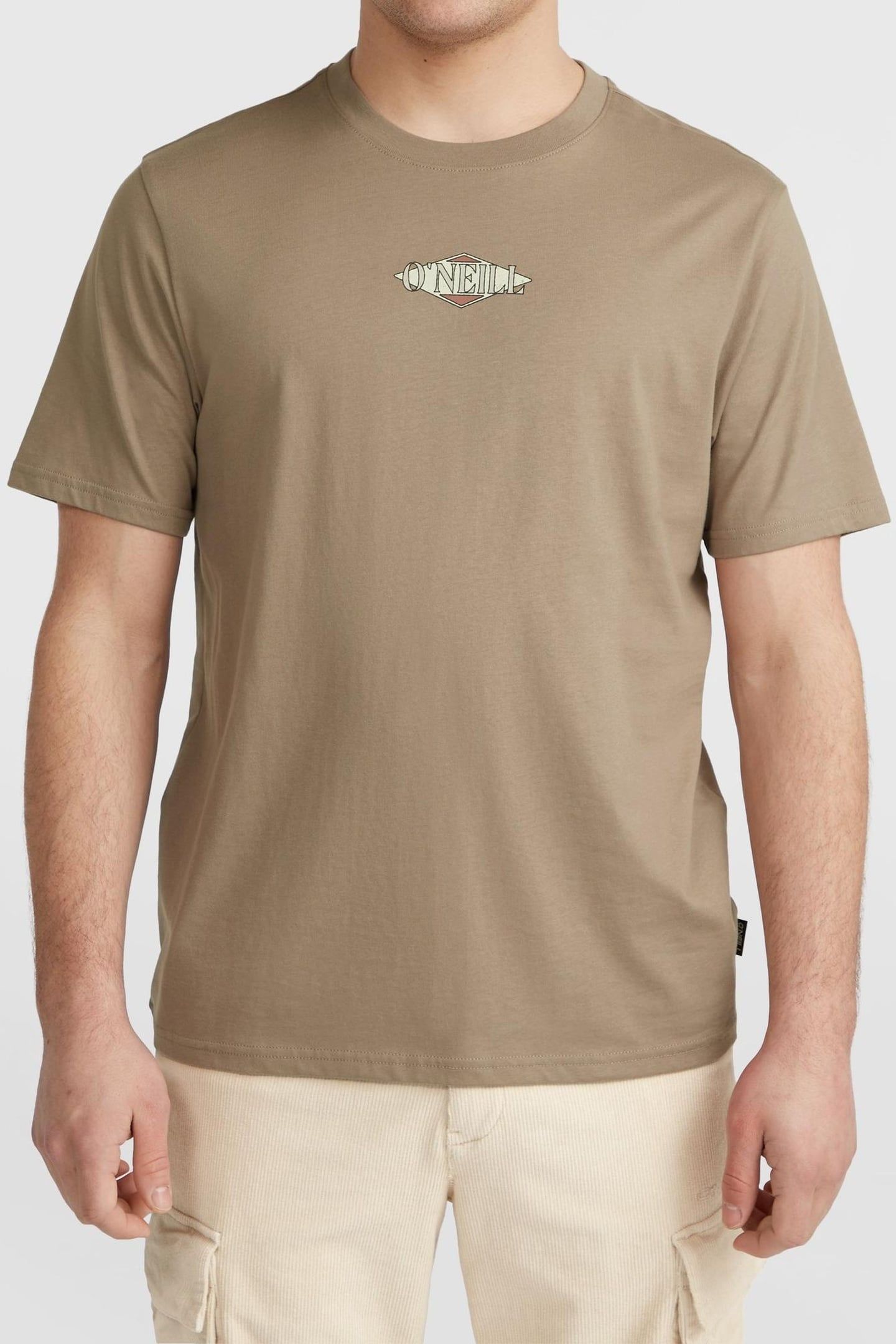 O'NEILL BACK PRINT T-SHIRT CONCRETE 1