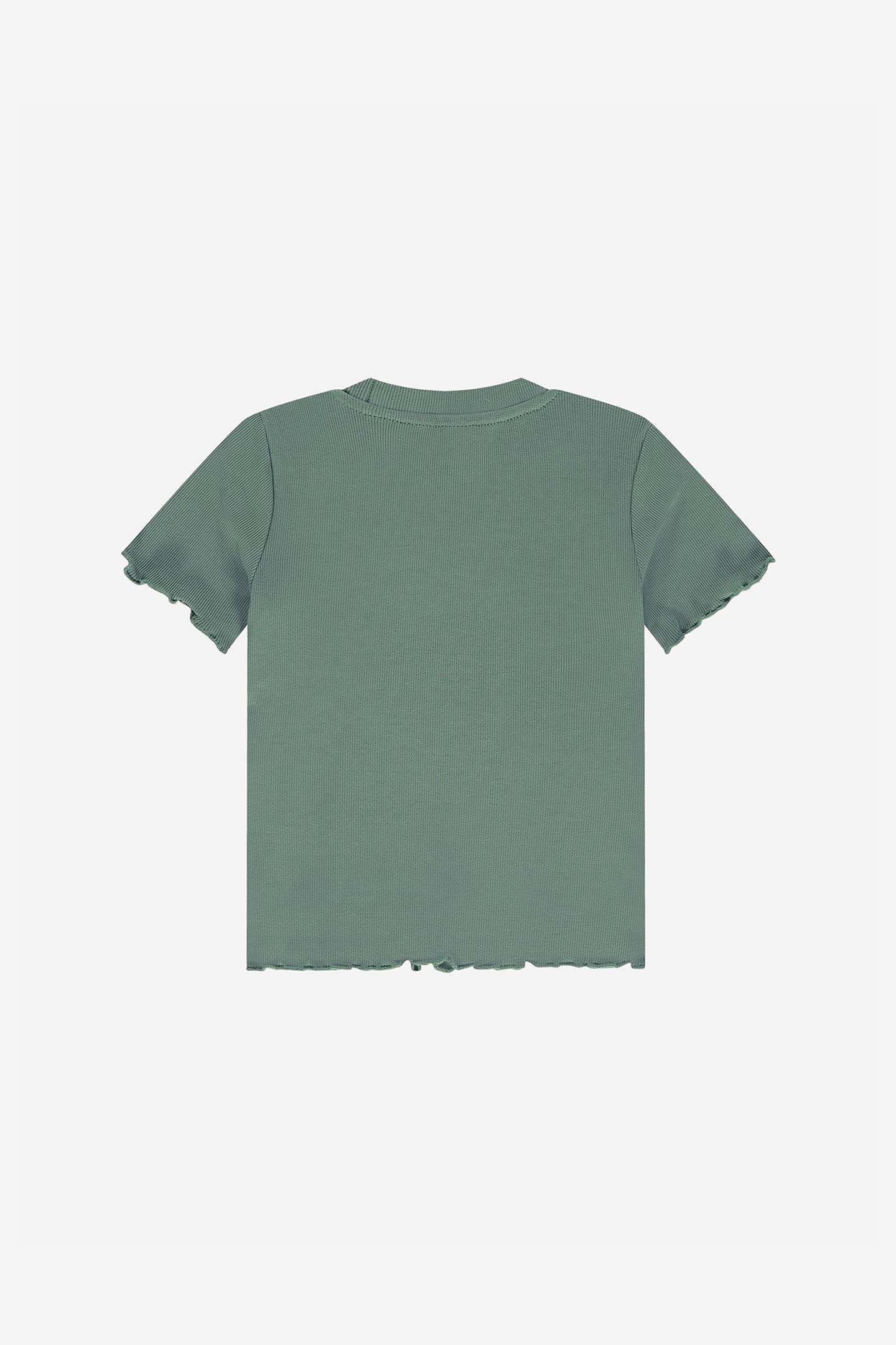GRADIENT RIB T-SHIRT GREY GREEN 1