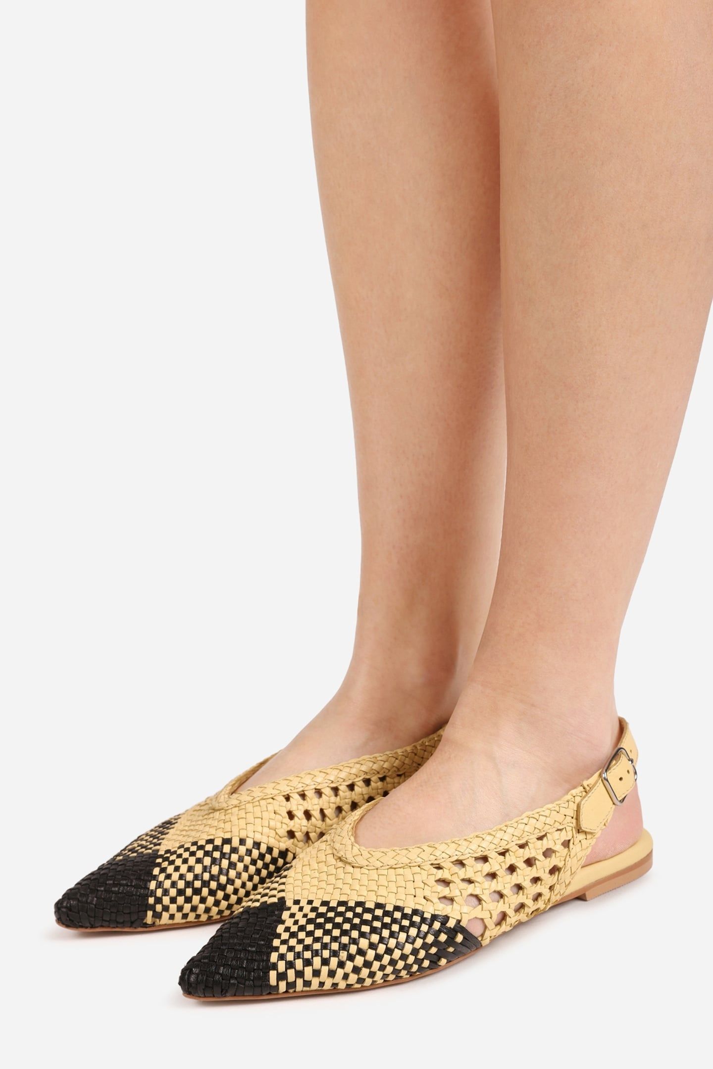 AMME-LINE LOW SHOE BUTTER YELLOW/BLACK 2