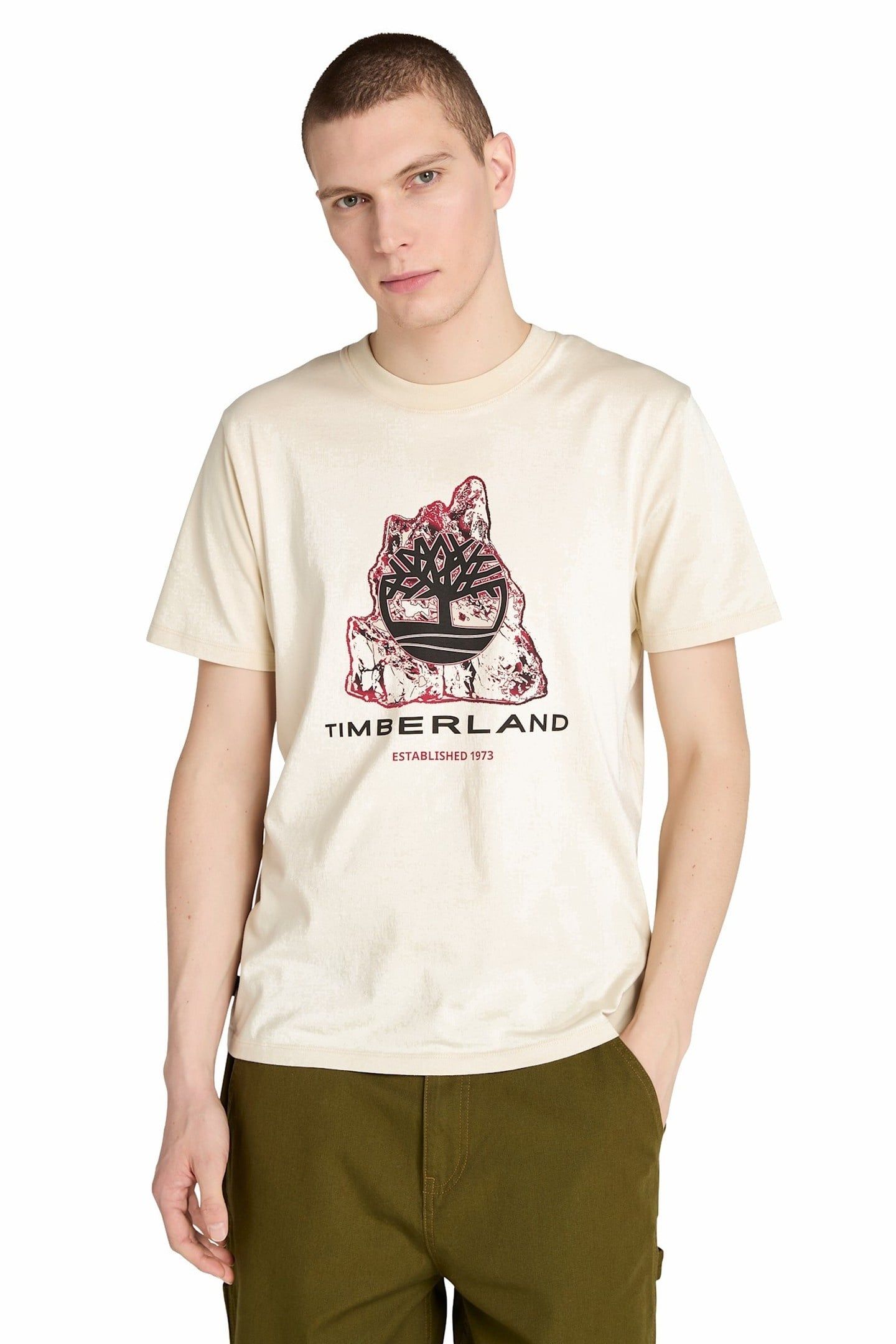 FRONT SEASONAL TREE LOGO GRAPHIC TEE ANGORA 1