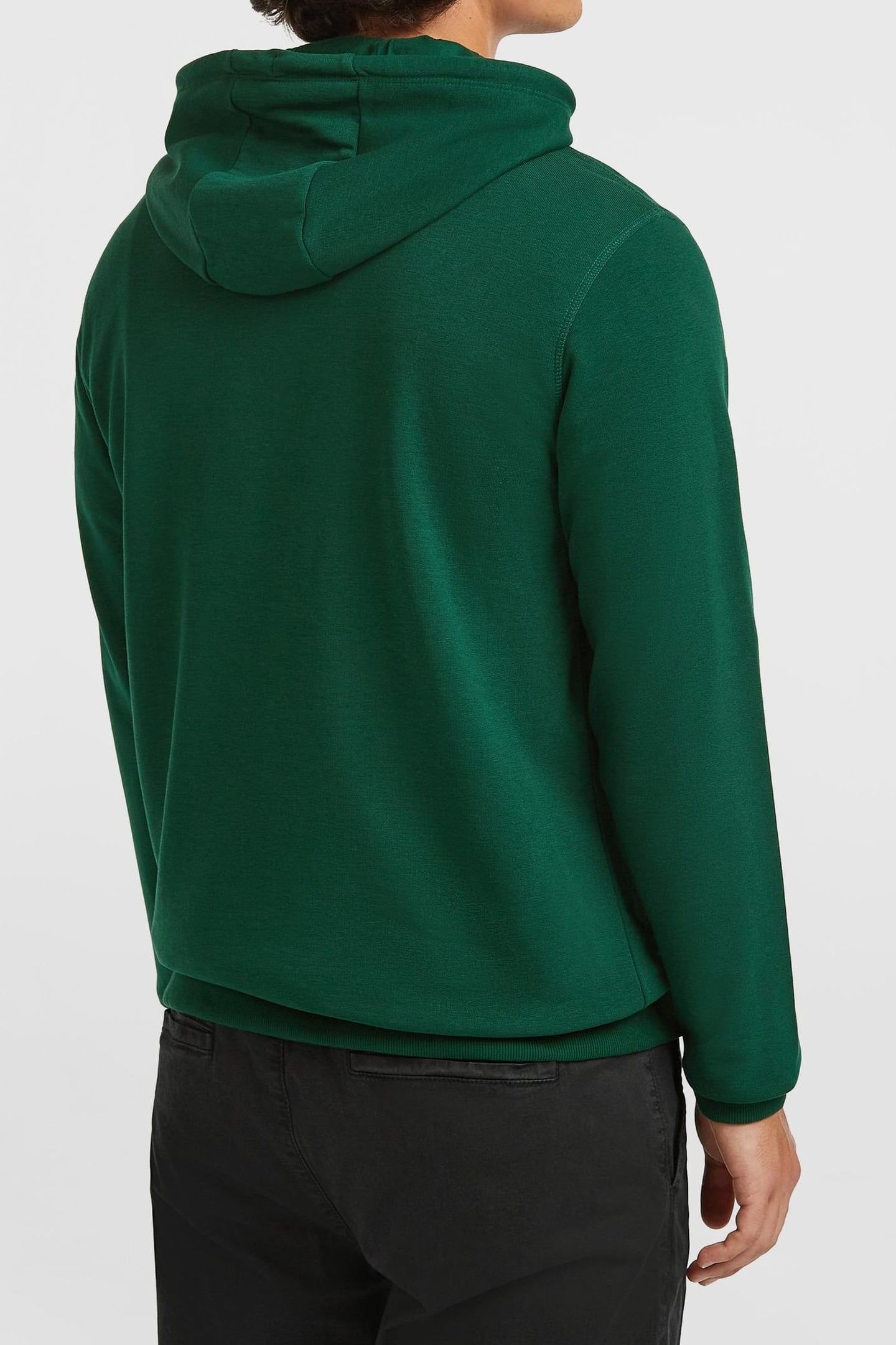 SMALL LOGO HOODIE EMERALD ENVY 4