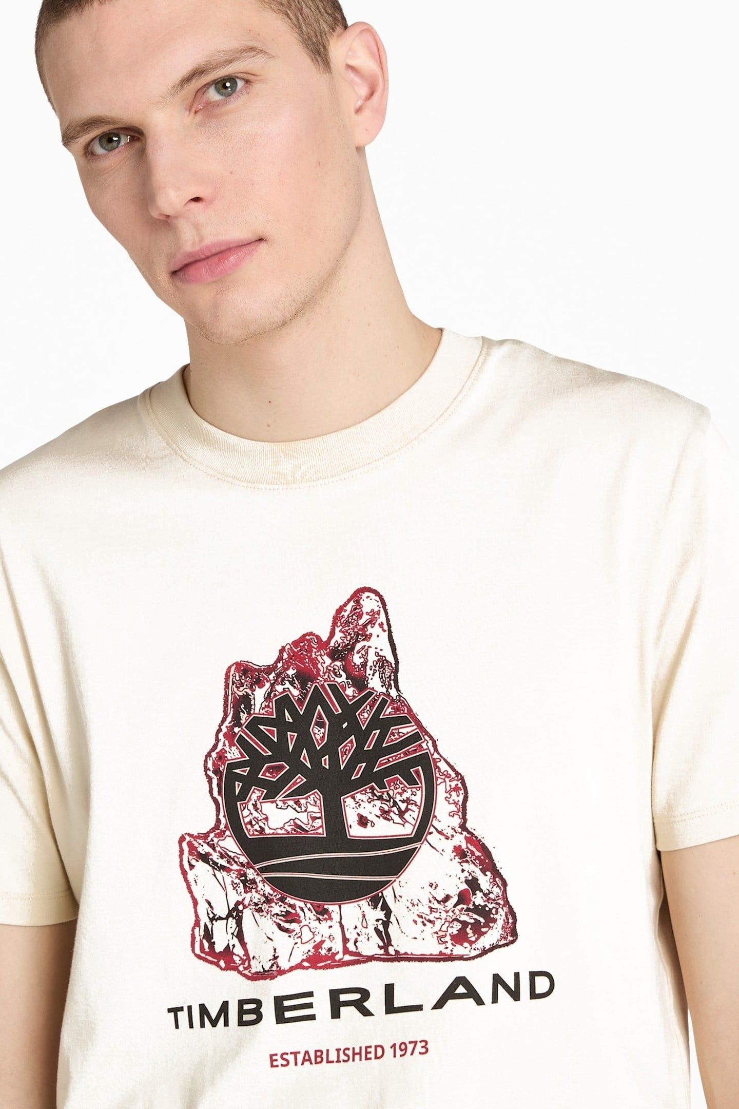 FRONT SEASONAL TREE LOGO GRAPHIC TEE ANGORA 3