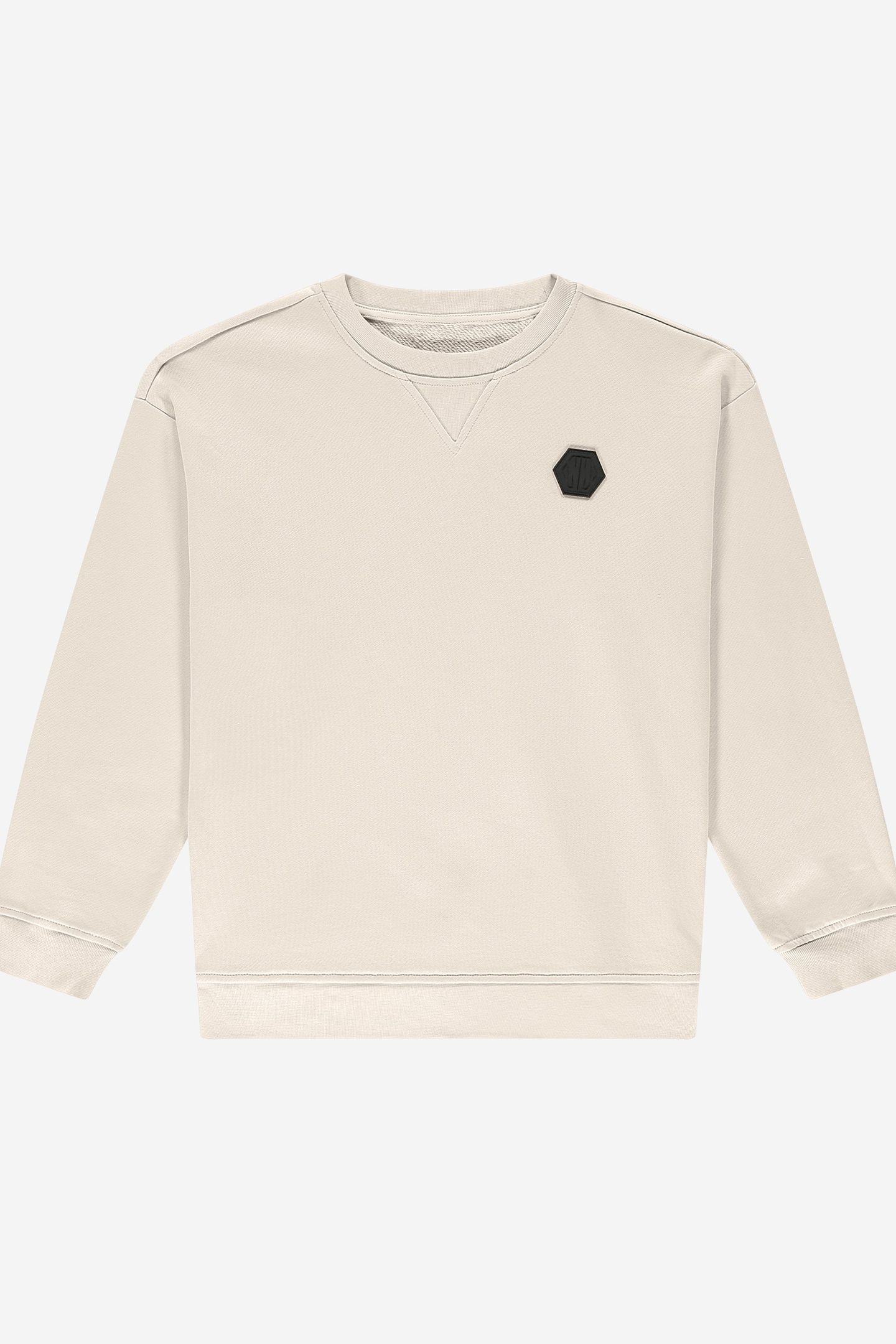 ICON OVERSIZED SWEATSHIRT WOOD ASH 1