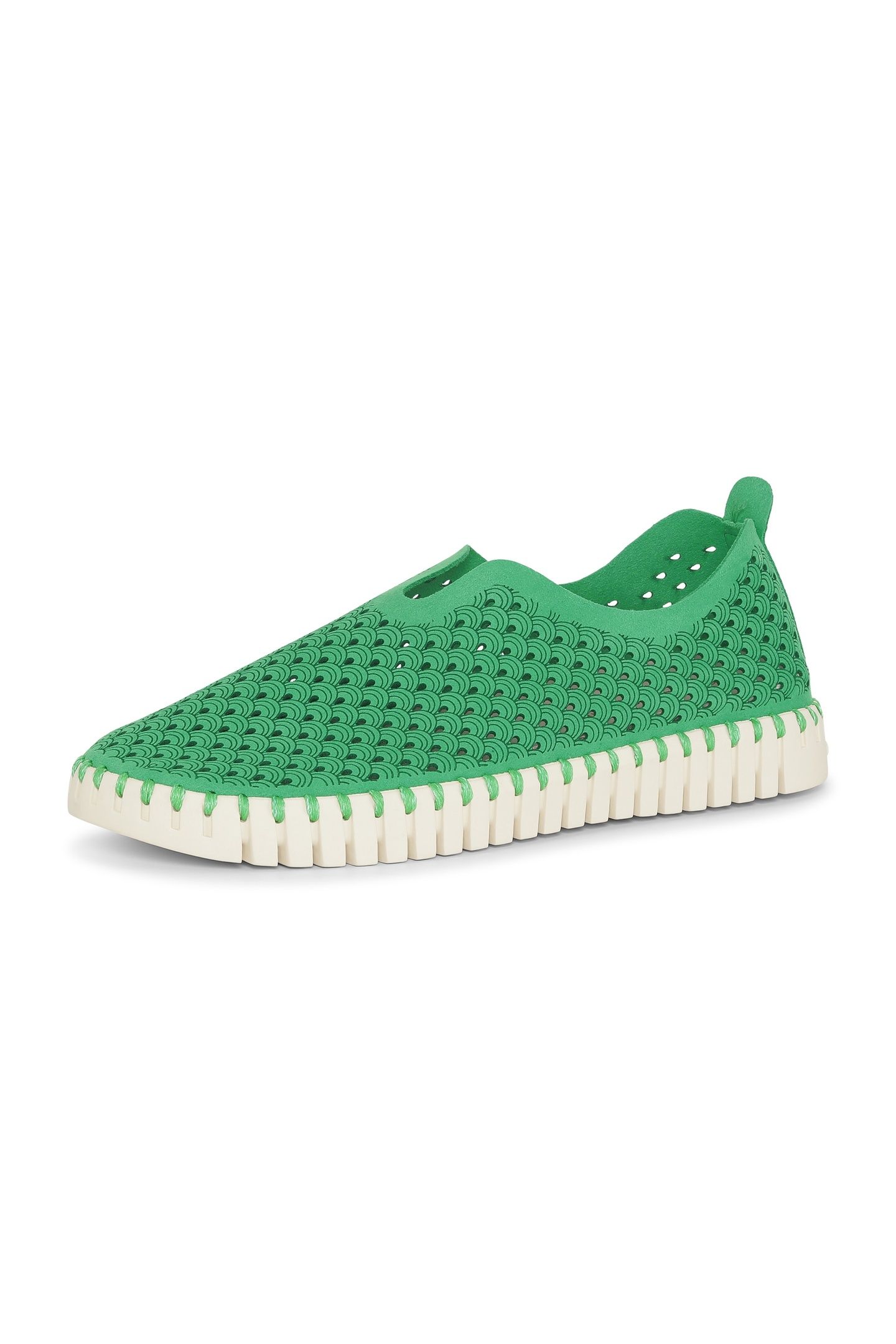 TULIP3275 FERN GREEN 2