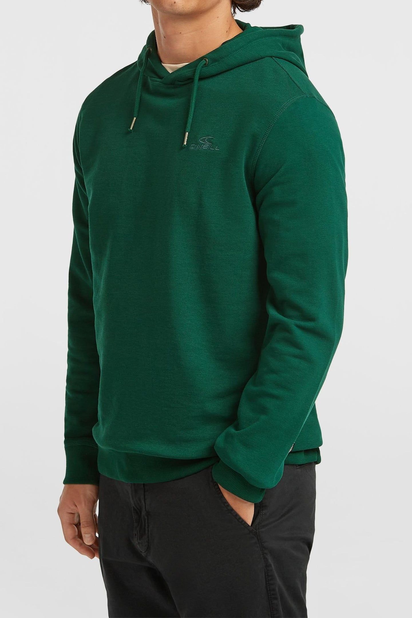 SMALL LOGO HOODIE EMERALD ENVY 3