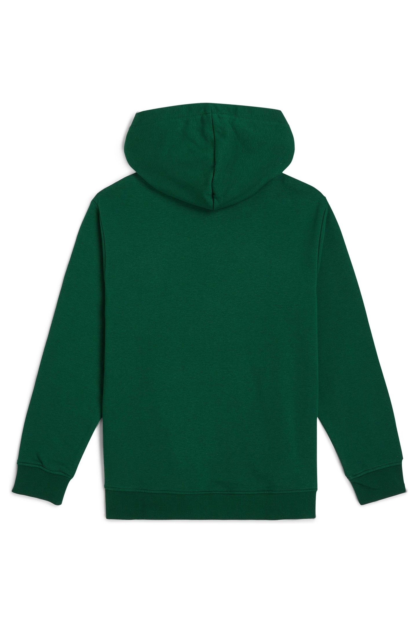 BOYS ESSENTIALS HOODIE EMERALD ENVY 3
