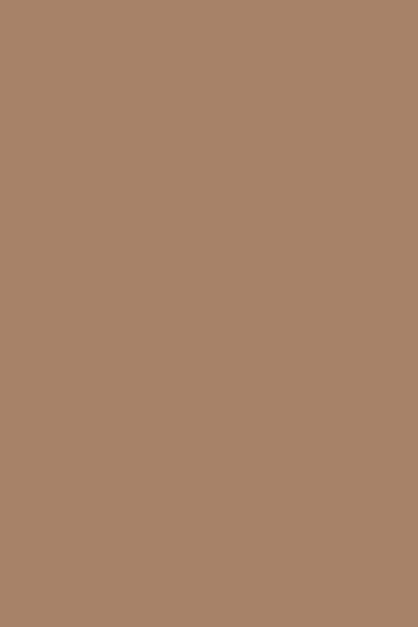 LIZAMI DRESS CAPPUCINO 9